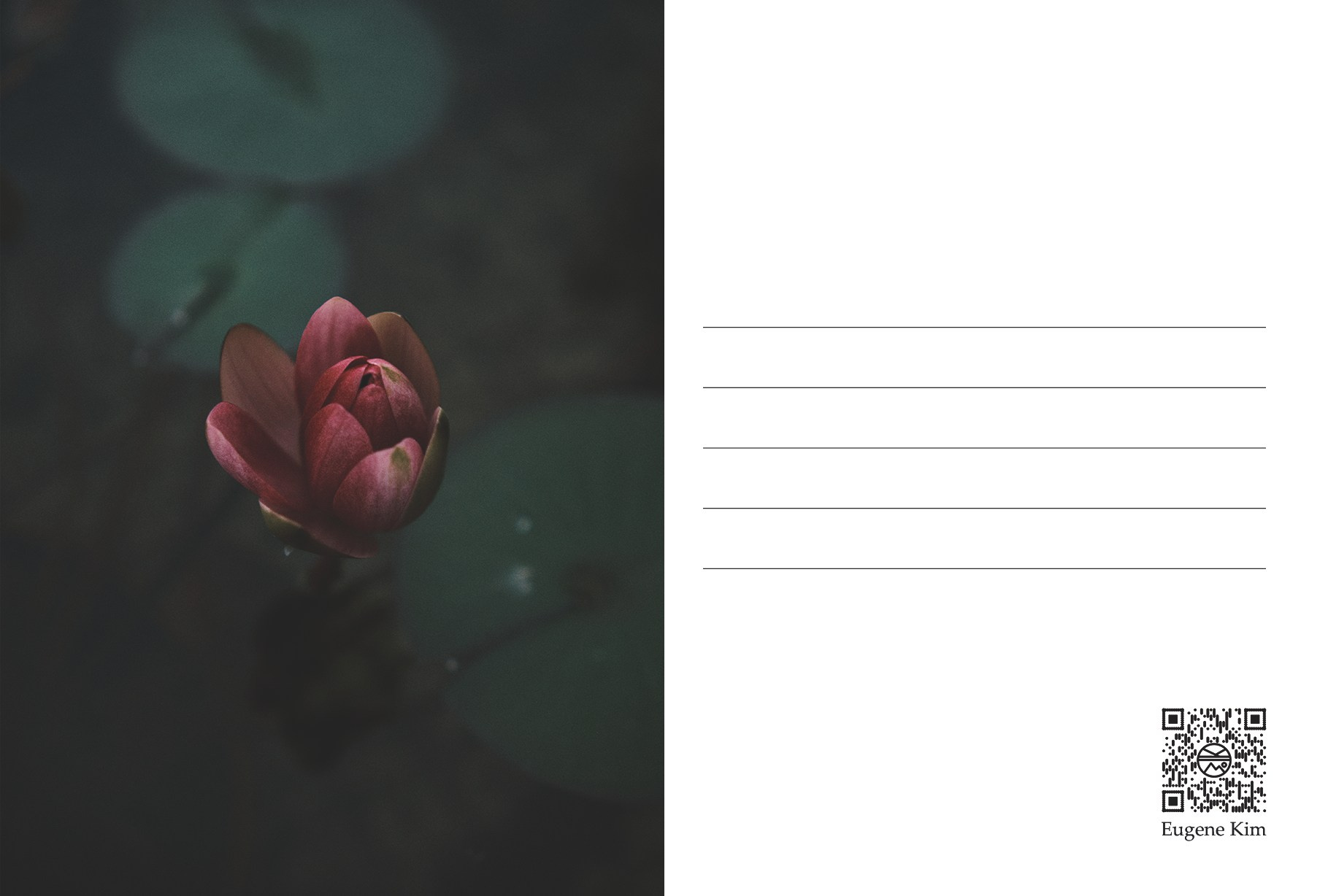 Авторские открытки