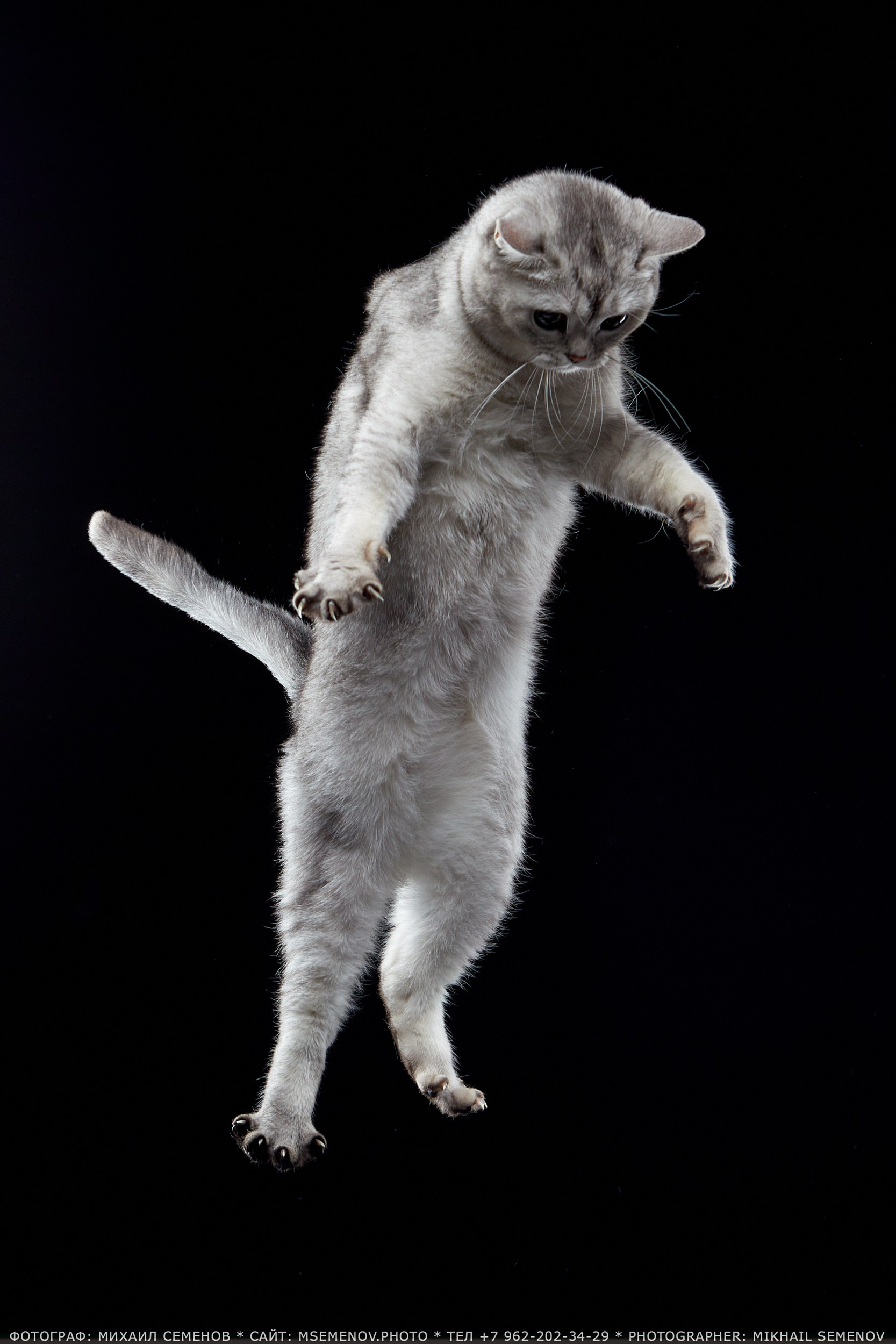 Фотопроекты и съемки на природе, с лошадьми, самолетами и авто. Выездная фотосессия. Фотограф, фотопроекты Михаила Семенова в Ярославле. Фотошкола