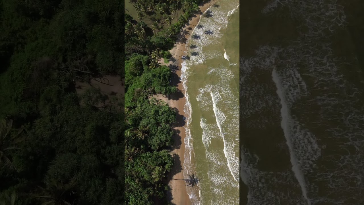 Пляжи Шри-ланки для фотосессий