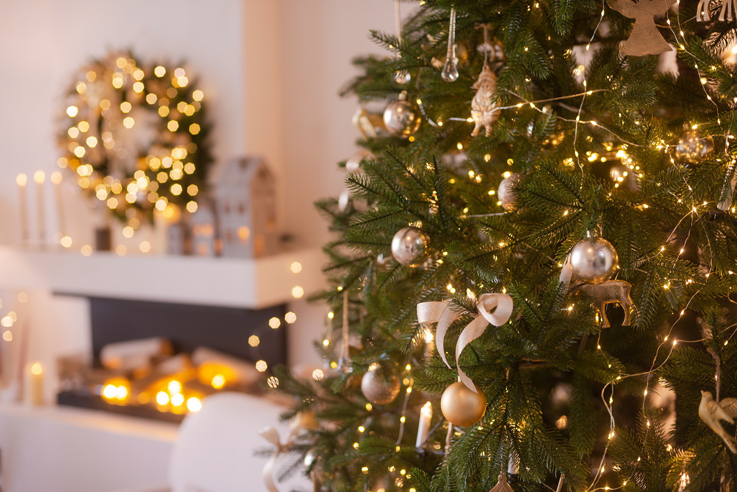 Новогодние фотодни. Фотограф Наталия Федосова, г. Москва. TG и Instagram @nataliya_raw