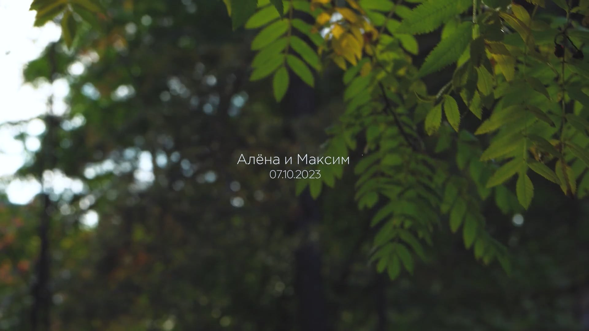 Свадебные клипы. Свадебный видеограф в Челябинске WEDDIM