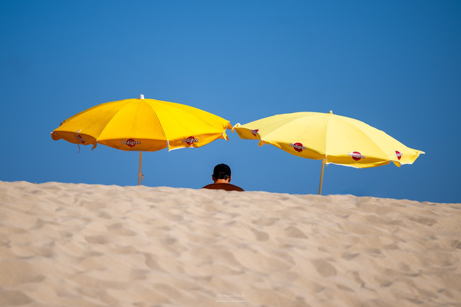 Решающий момент. Авторские стильные фотокартины