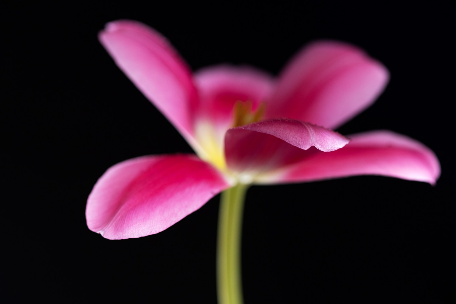 About me. Author’s fine art prints with international delivery