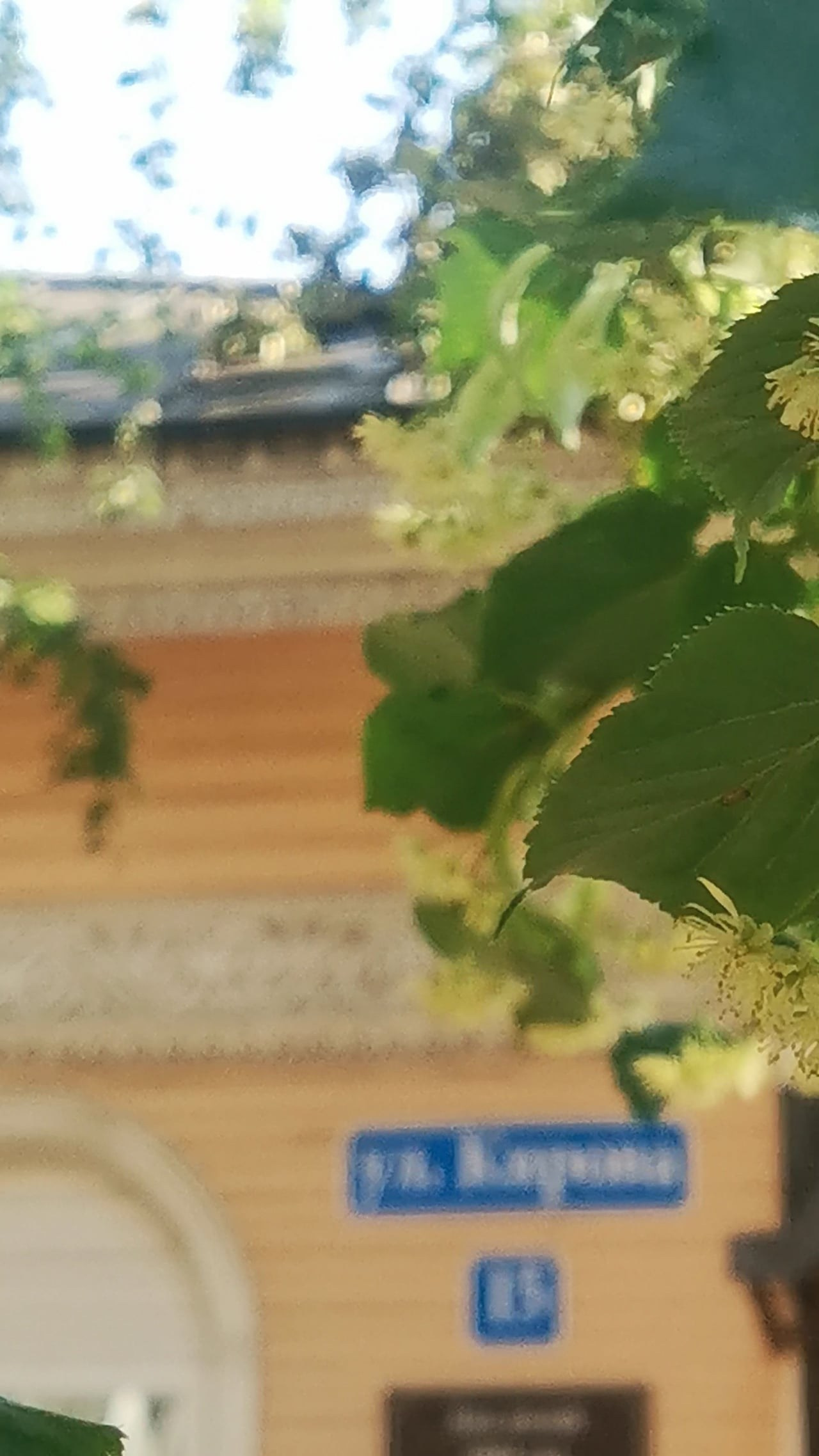 Наталья Алаторцева — Медленный шаг