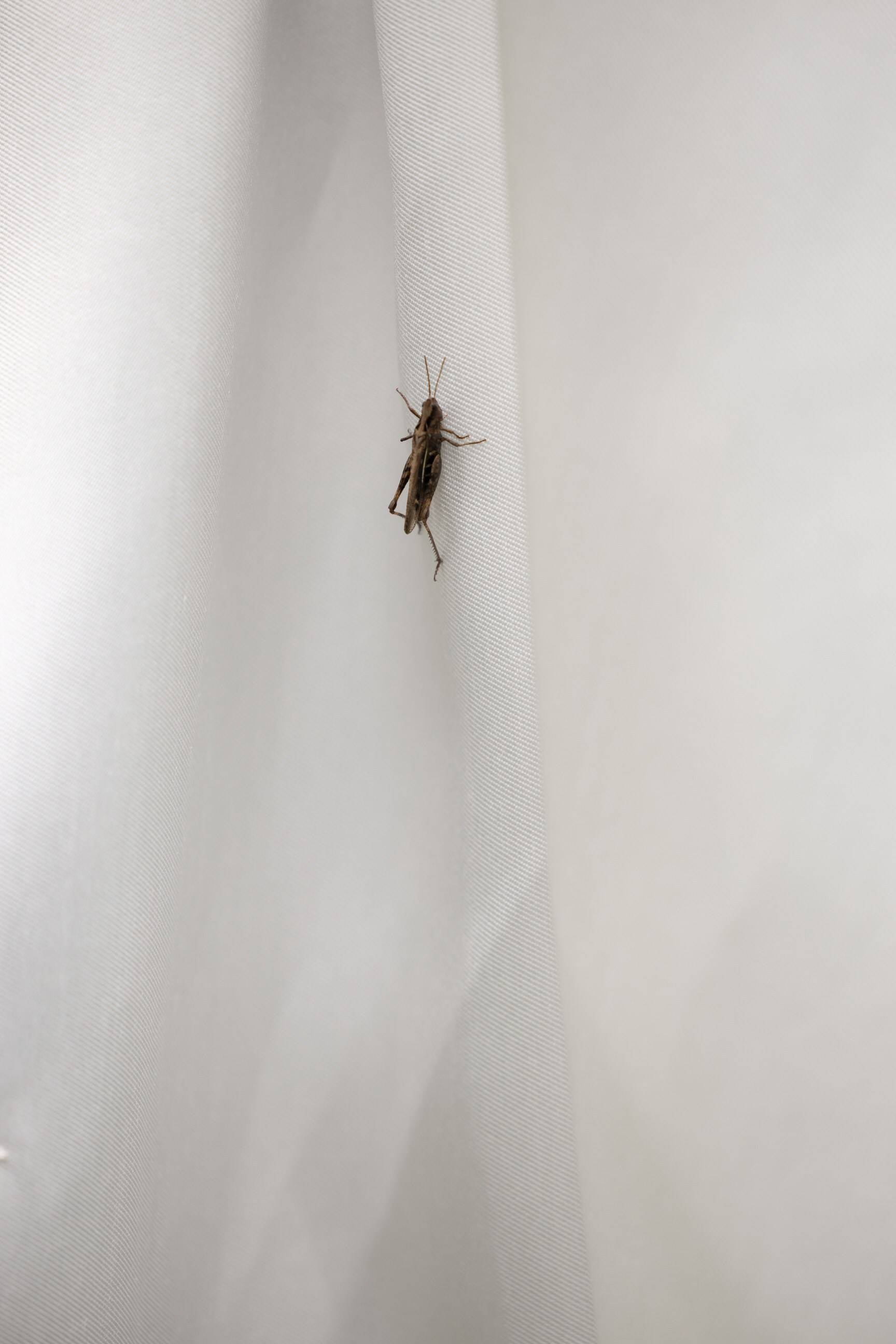 Индира & Максим. Yura Rush Свадебный фотограф Тюмень