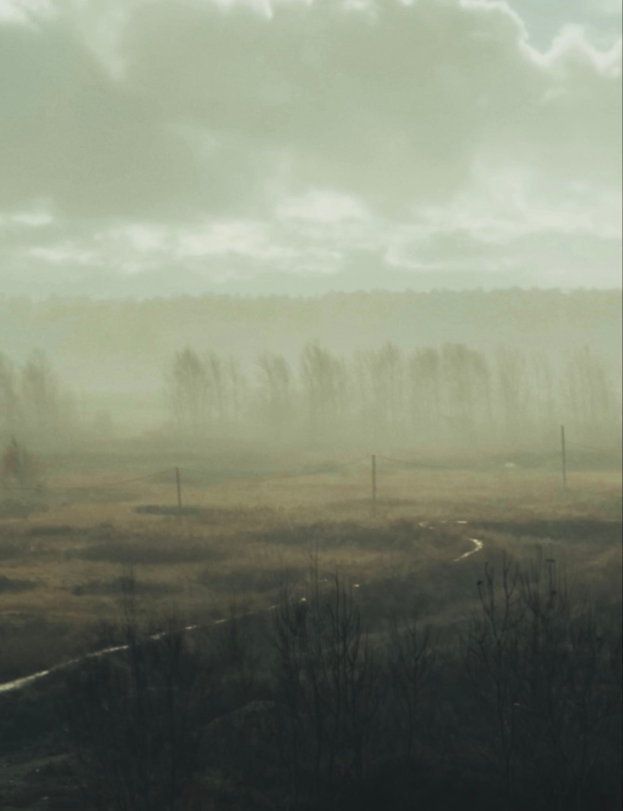 SINGLES. Evgeniia Mikheeva — International visual artist