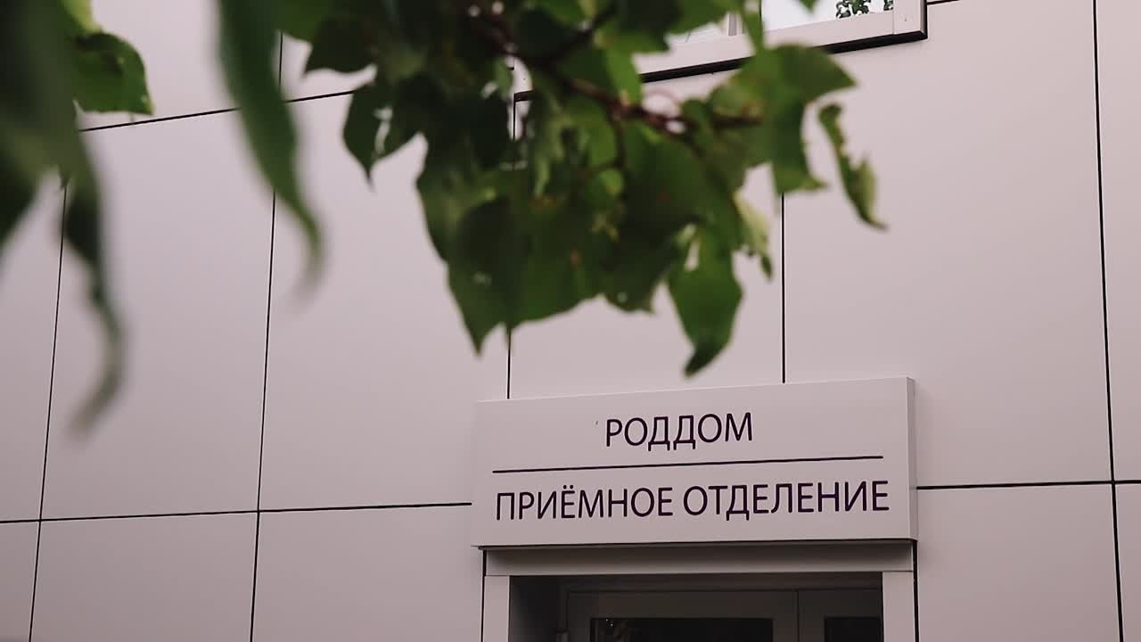 Выписка. Видеосъёмка праздников в Краснодаре