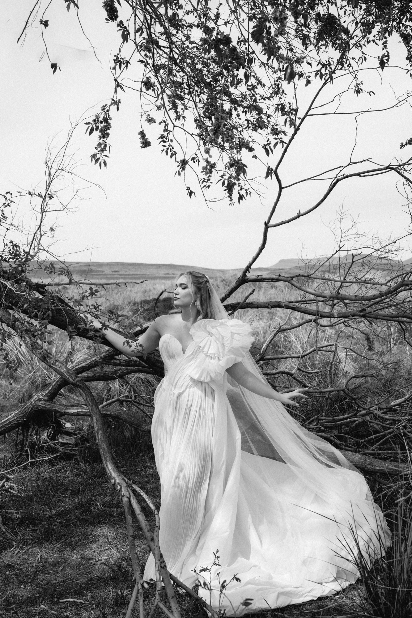 Когда мечты обретают смысл…