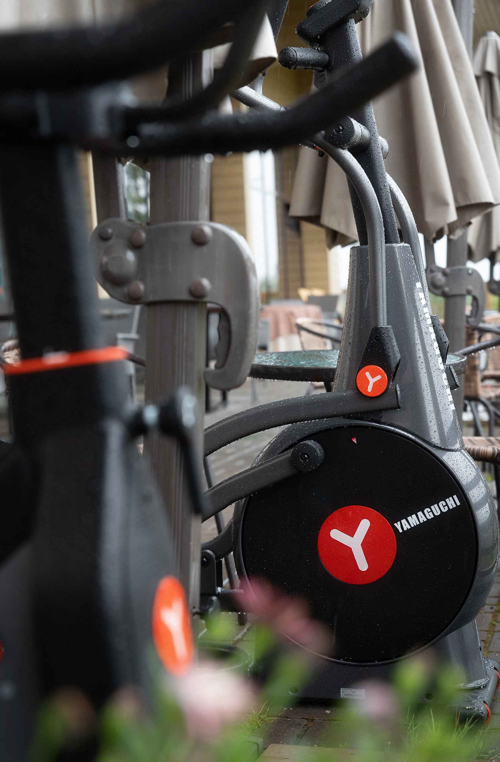 Светское мероприятие. Фотограф Сергей Шурмин