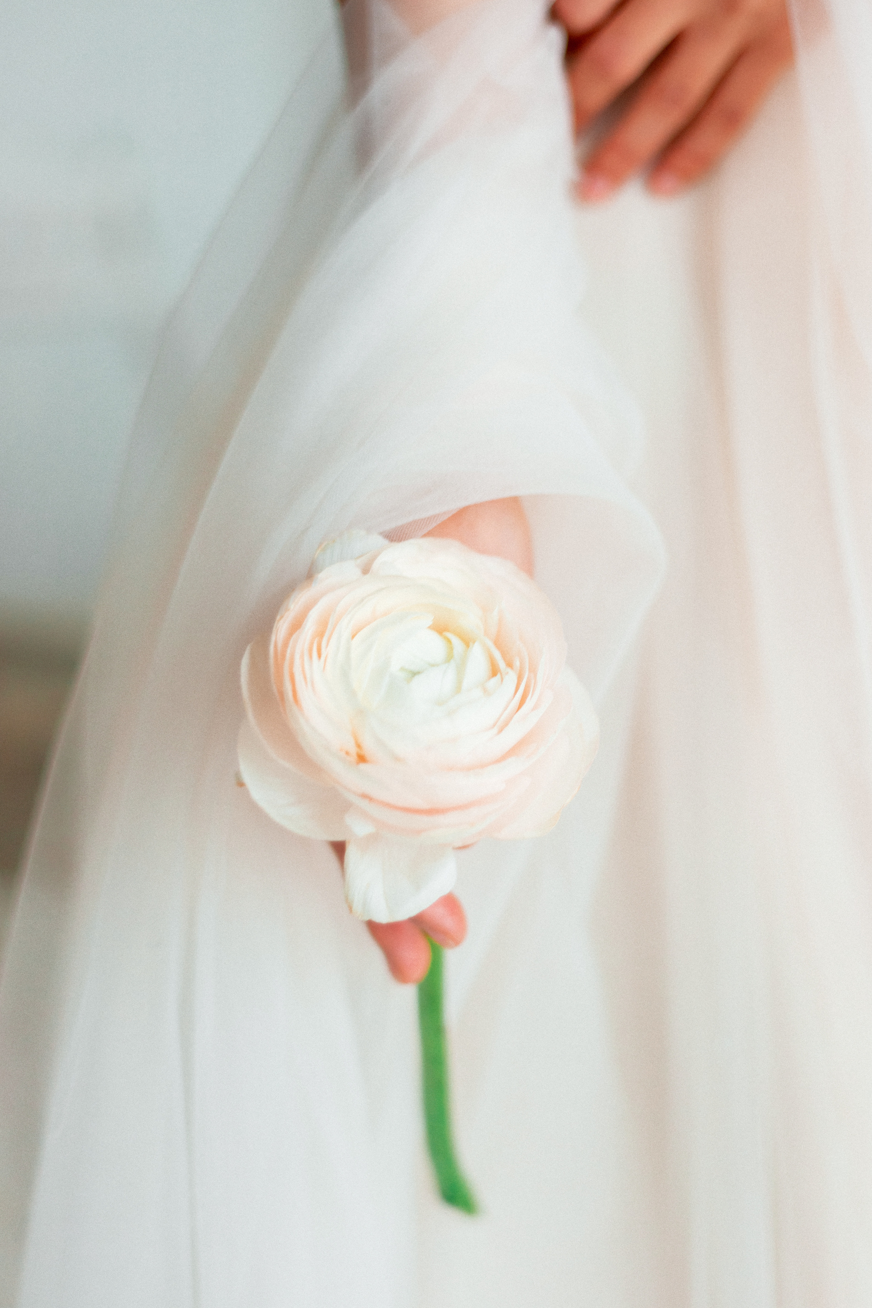 Цены — свадебное фото. Фотограф  в Санкт-Петербурге Юлия Ильченко