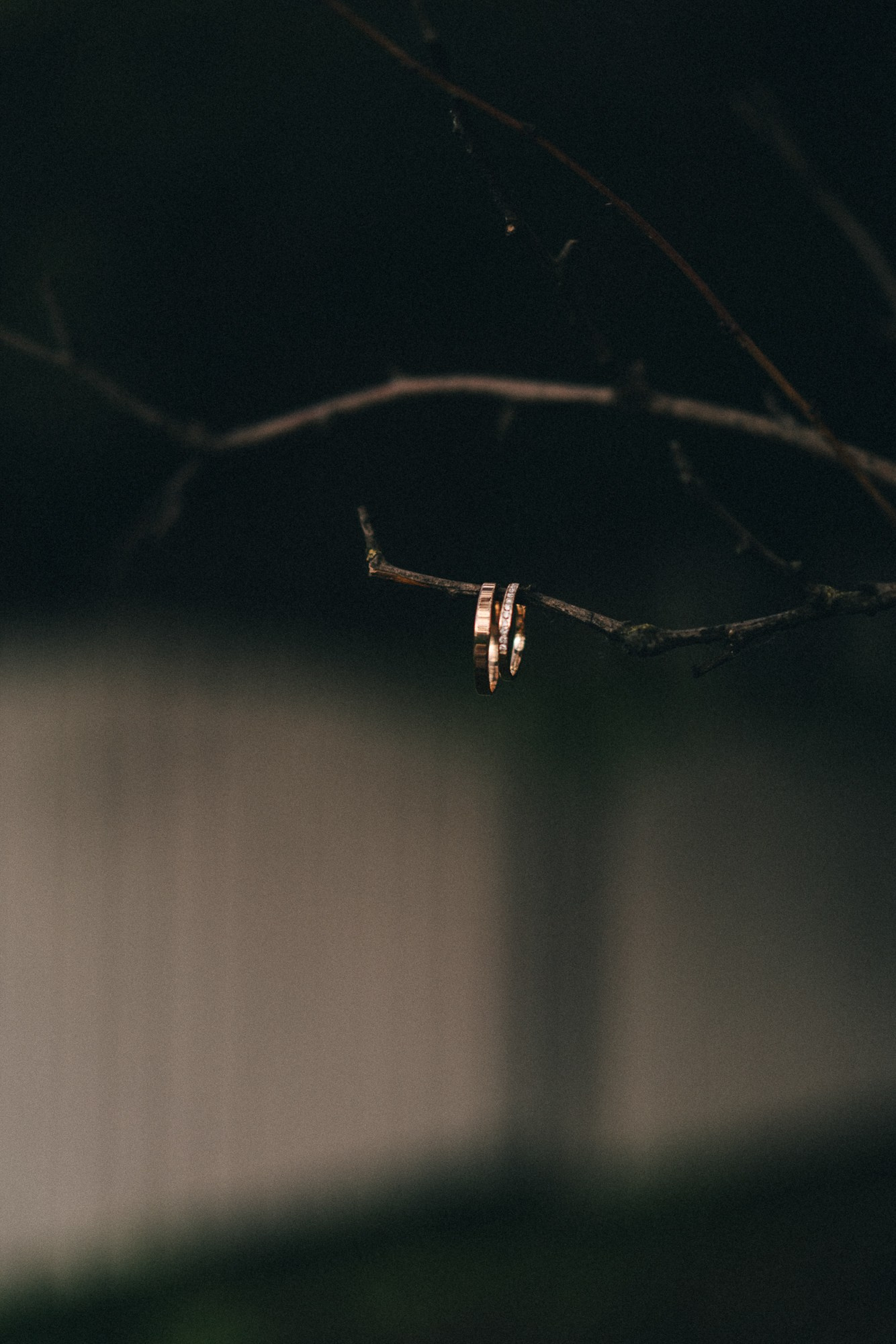 Фотограф в Москве Горбачева Алена