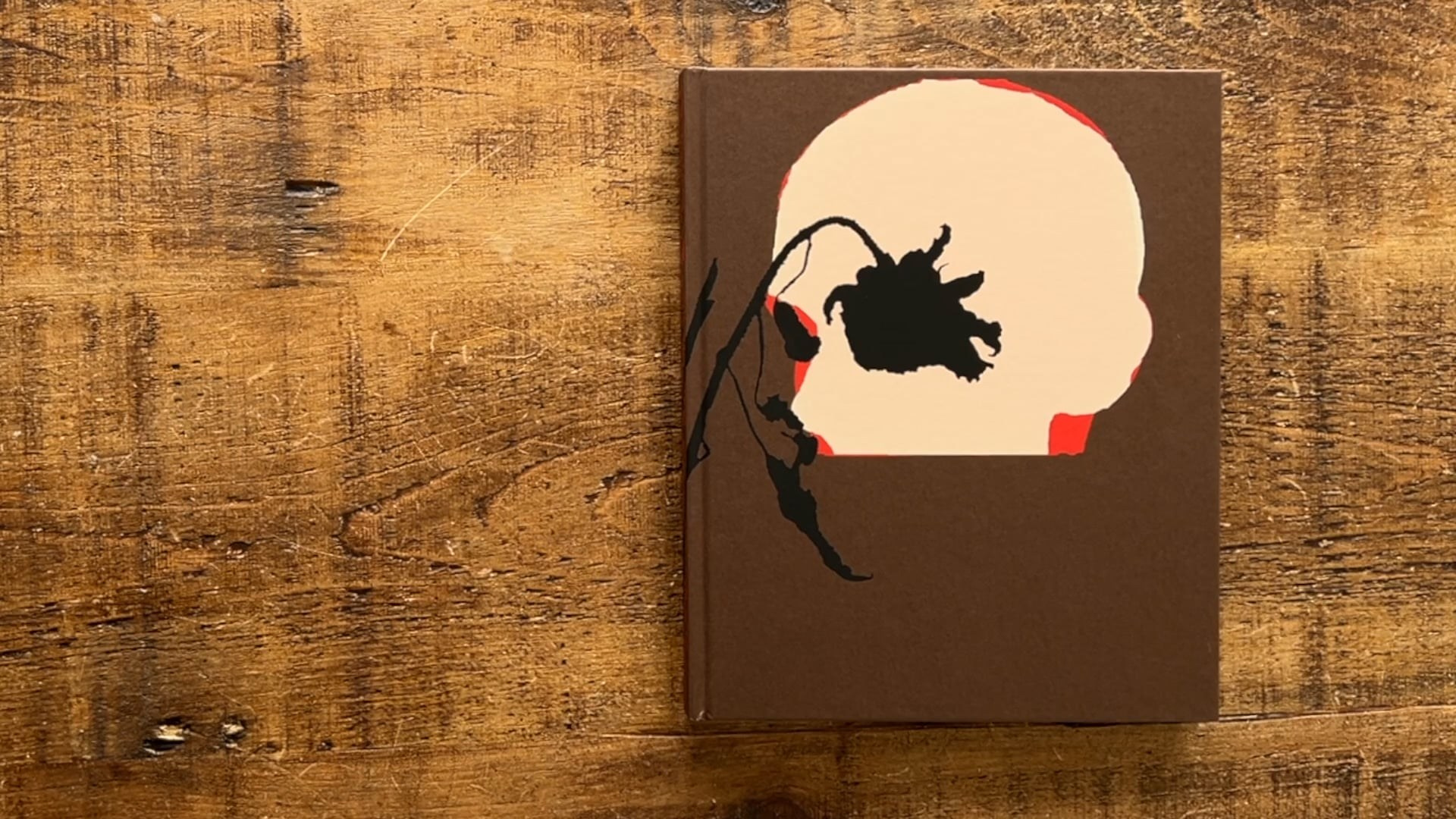 Книга Вика Бакина (Vic Bákin) «Epitome». Private image