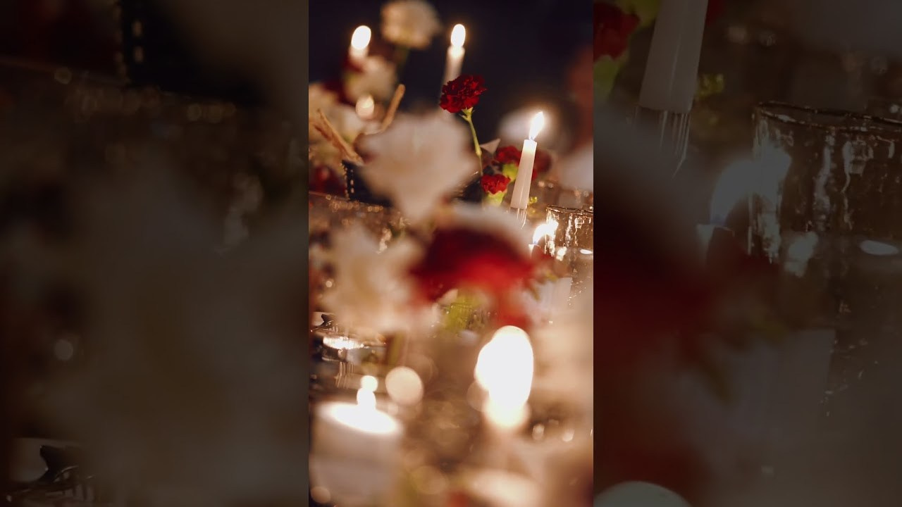 Reels. Свадебный фотограф Минск РБ