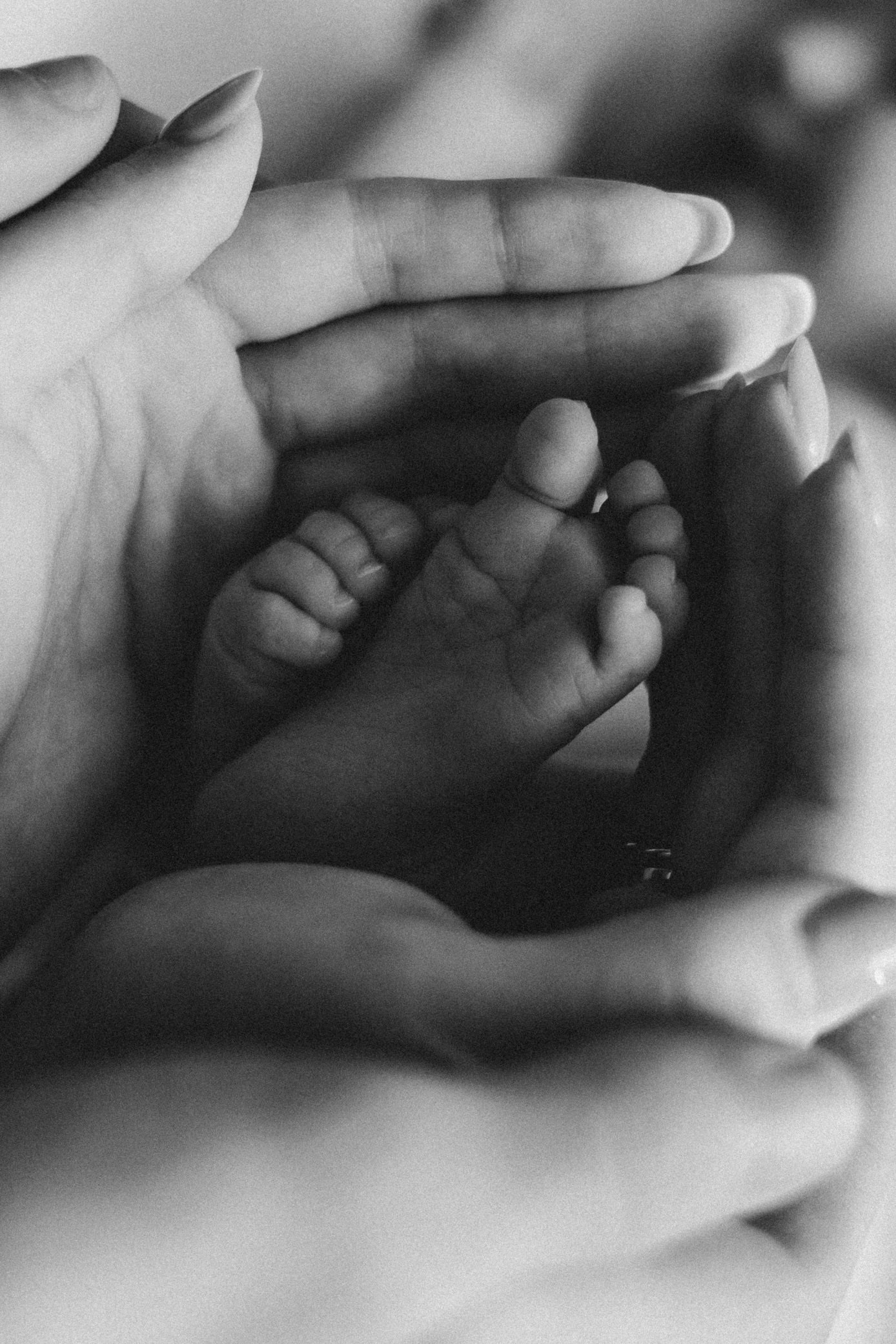 Фотограф Новомосковск | Тула