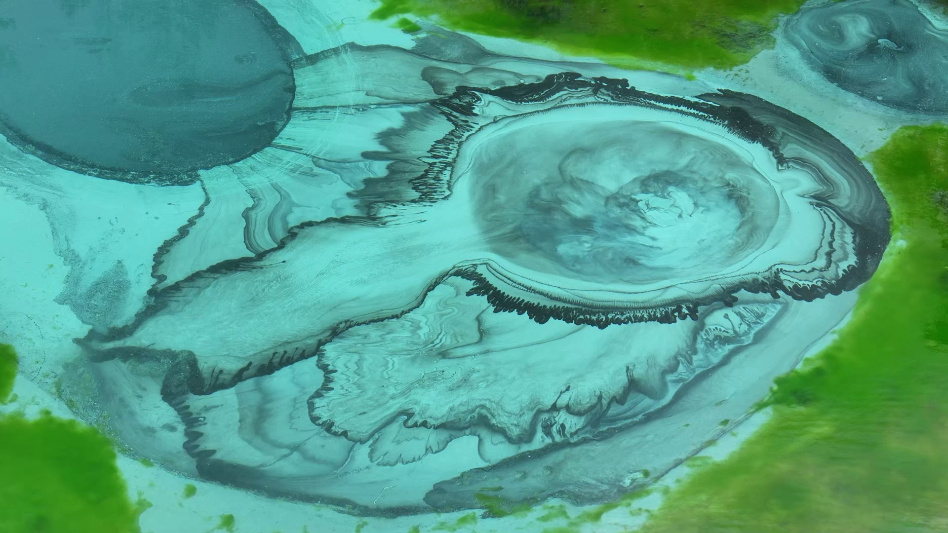 Экспедиция в Монголию (Гоби). Семоха Валерий. Фотограф