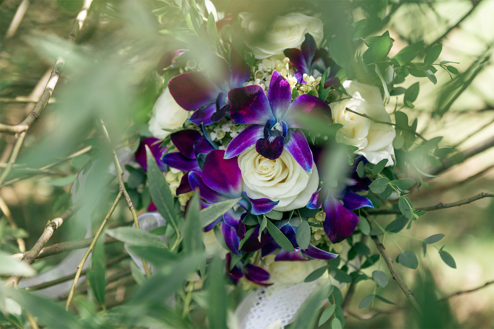 Kasia Teesh. Фотограф и Видеограф. Сергиев Посад