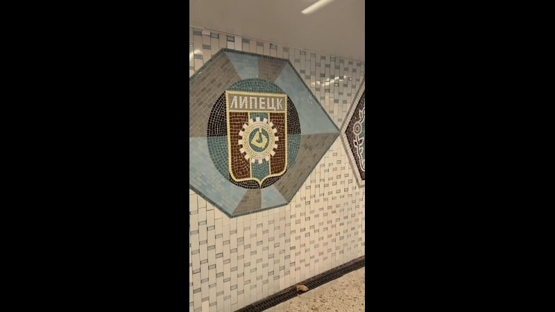 Галопом по городу Липецк. Фотограф видеограф широкого профиля Денис Захаров