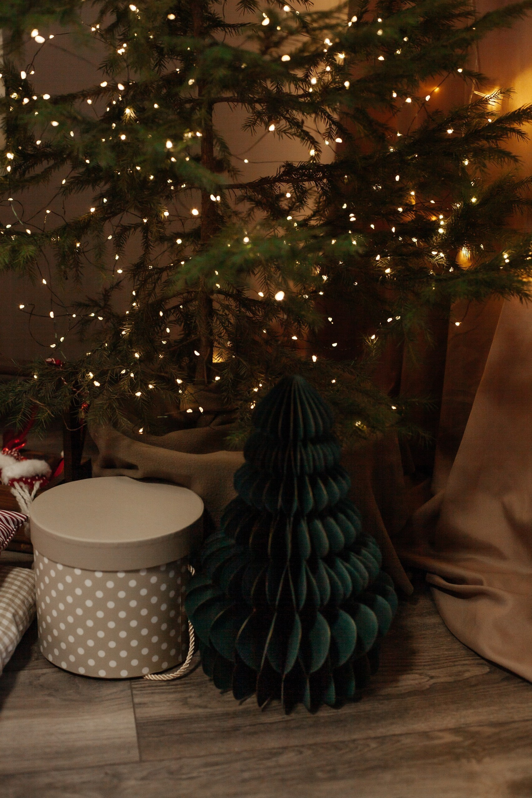 Интерьерные фотостудии. Семейный фотограф Елена Шаяпова