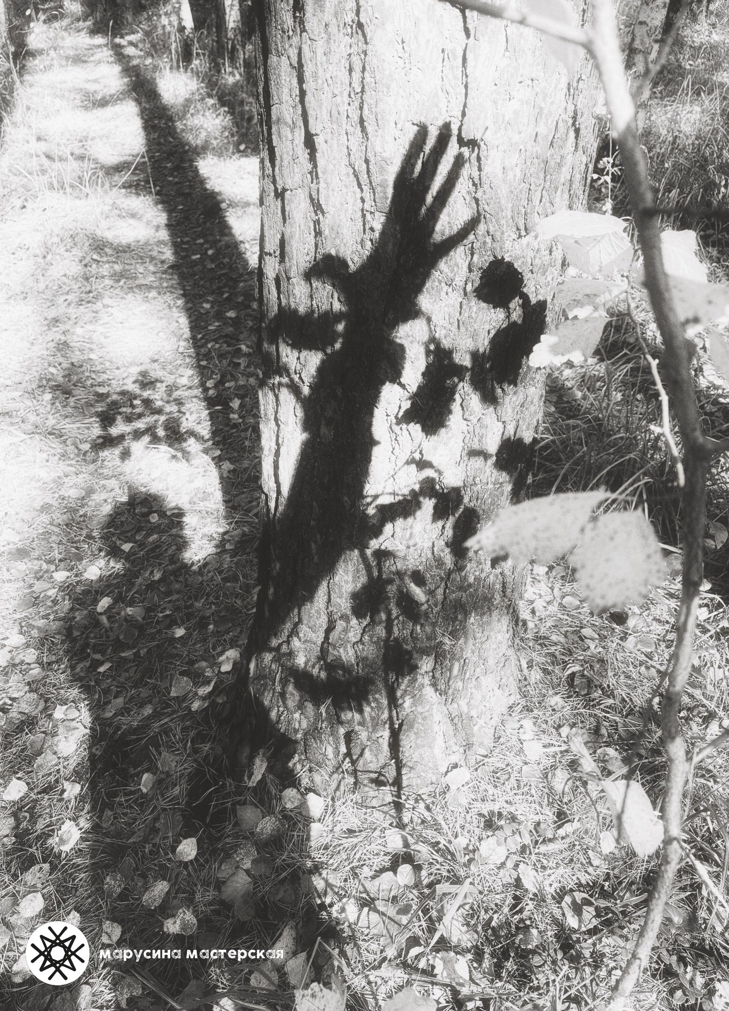 Анна Скопина