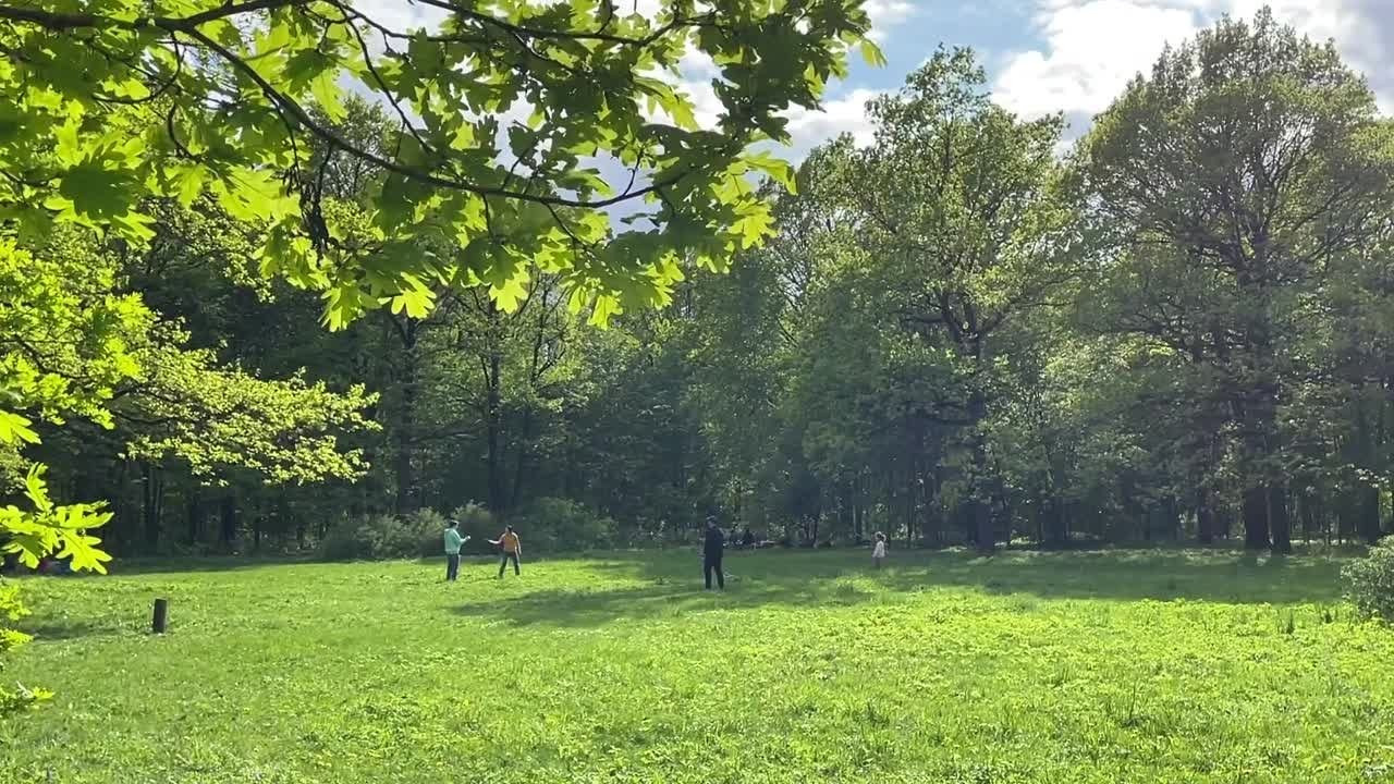 Видеопрогулка по Ботаническому саду в Москве. Проект «Фотокладовка»: блог уличной фотографии в формате street photo