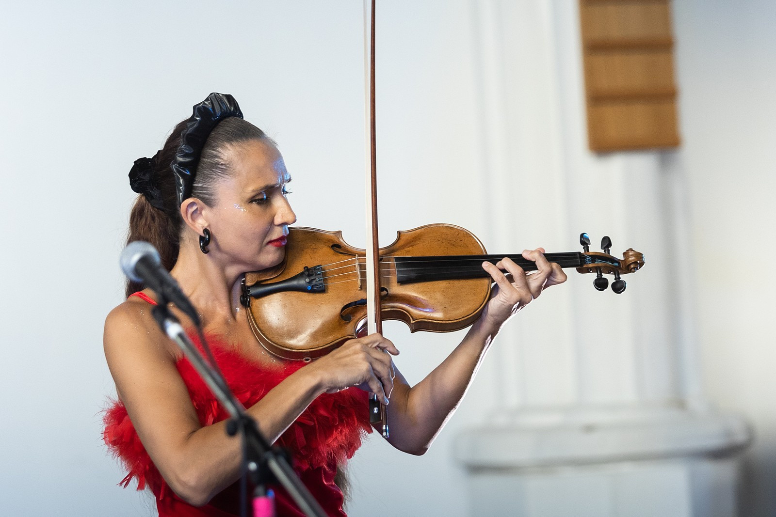 Скрипка. Свадебный и репортажный фотограф в Москве и Московской области