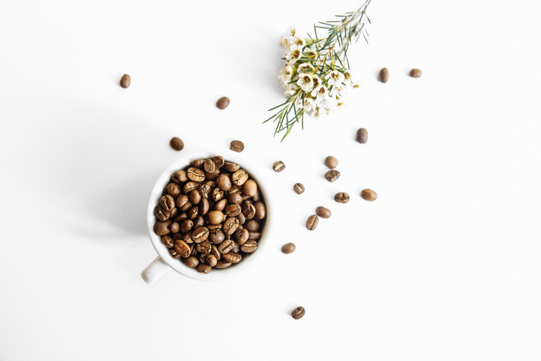 Кофейня «Port Coffee»