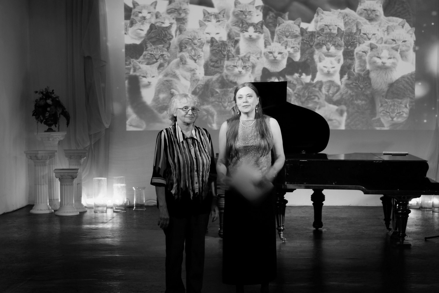 «ПитерКот» ежегодная выставка работ художников. Дом Шрёдера