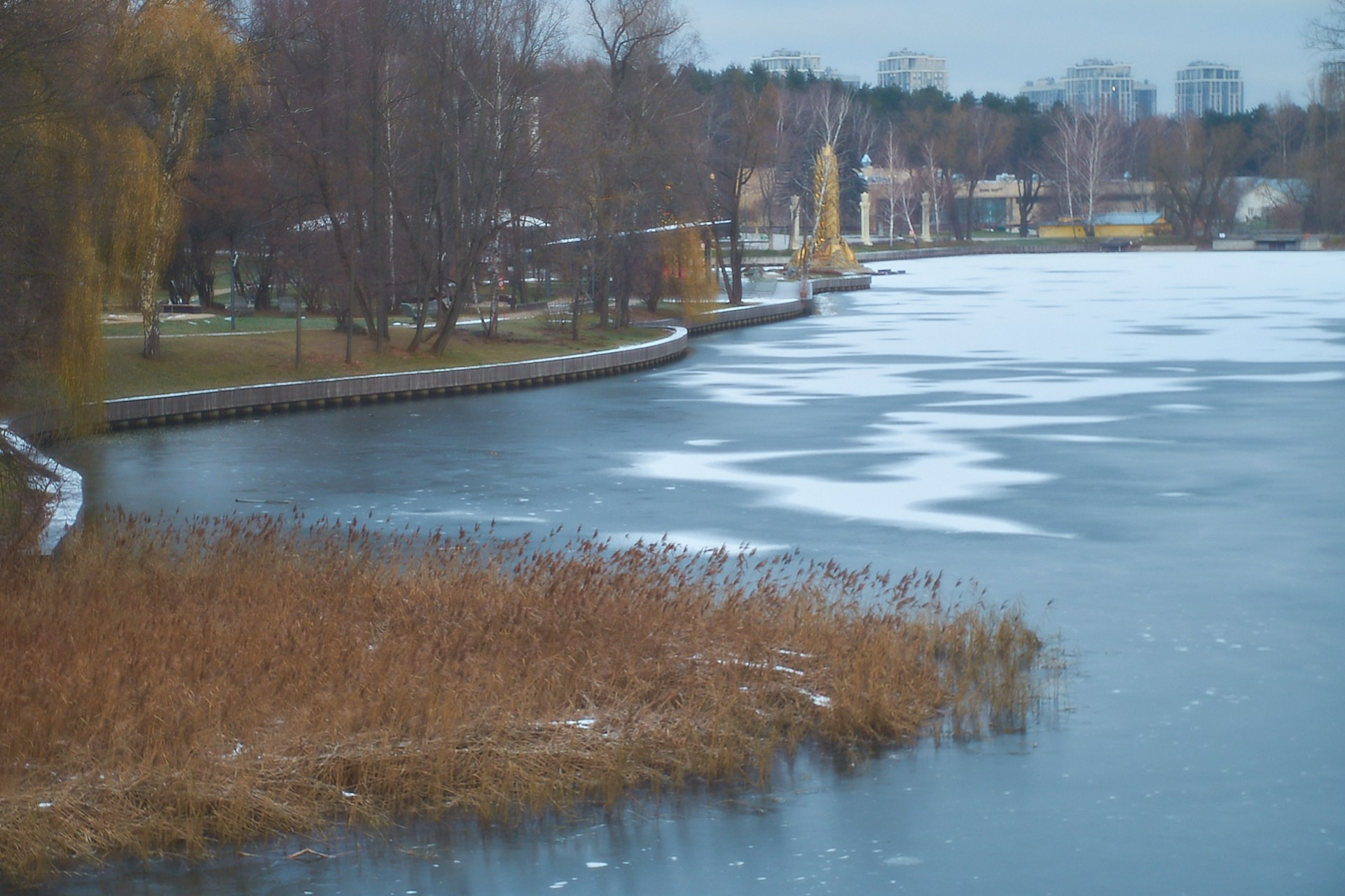 Серия «5 элементов  стихий» — ВОДА, ДЕРЕВО и ЗЕМЛЯ