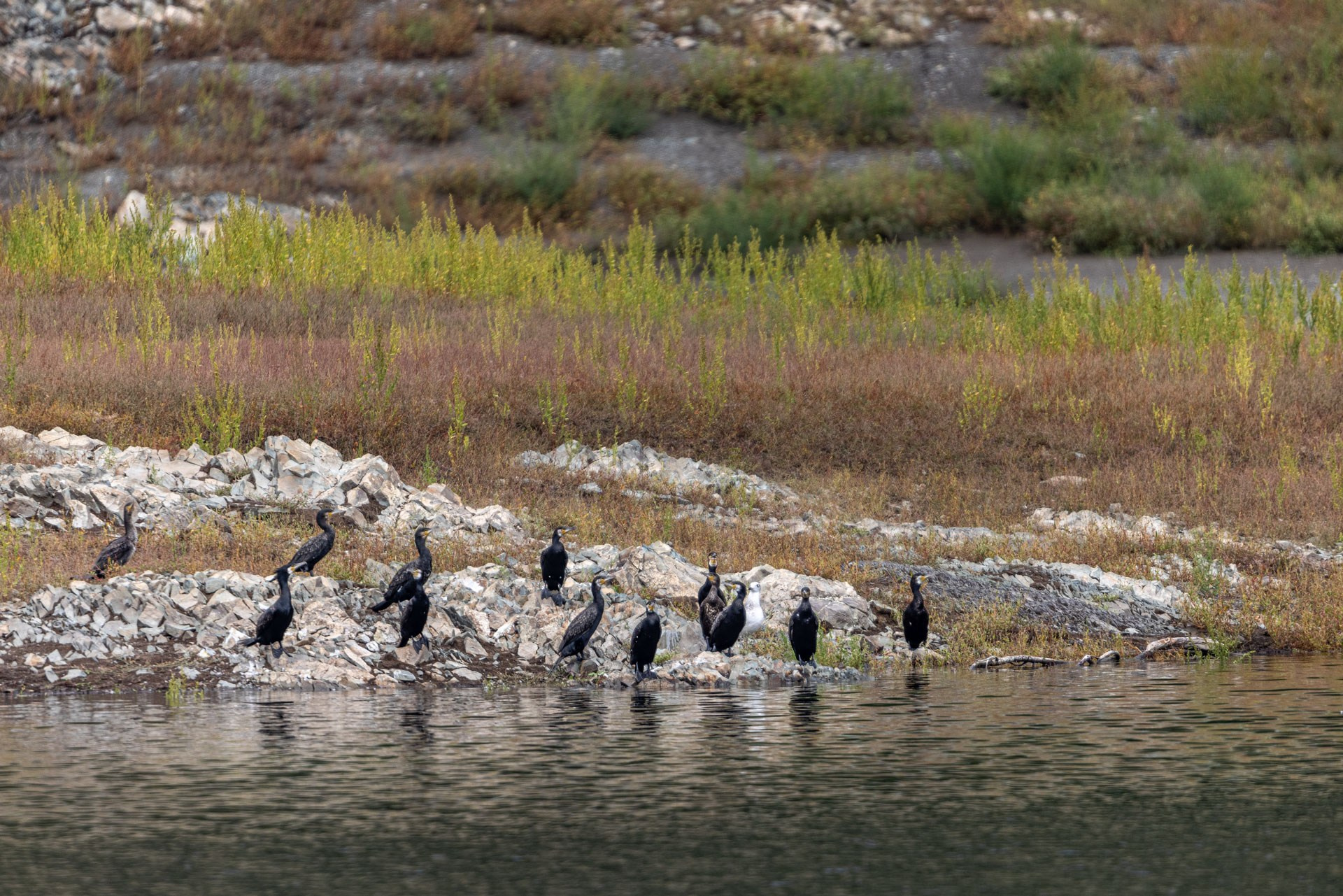 Девичник Саяны. Анна Баженовская Женский фотограф Москва