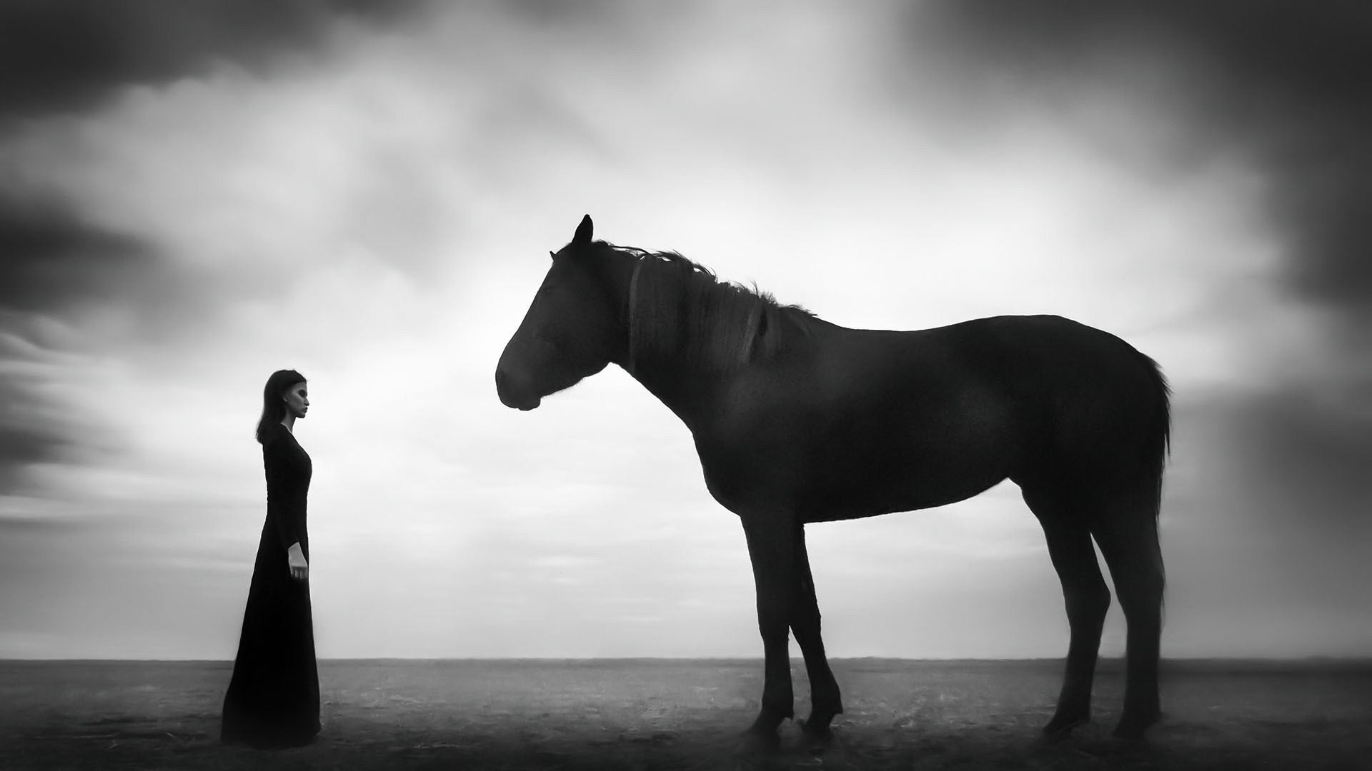 Искусство художественной фотографии — Купить современное искусство