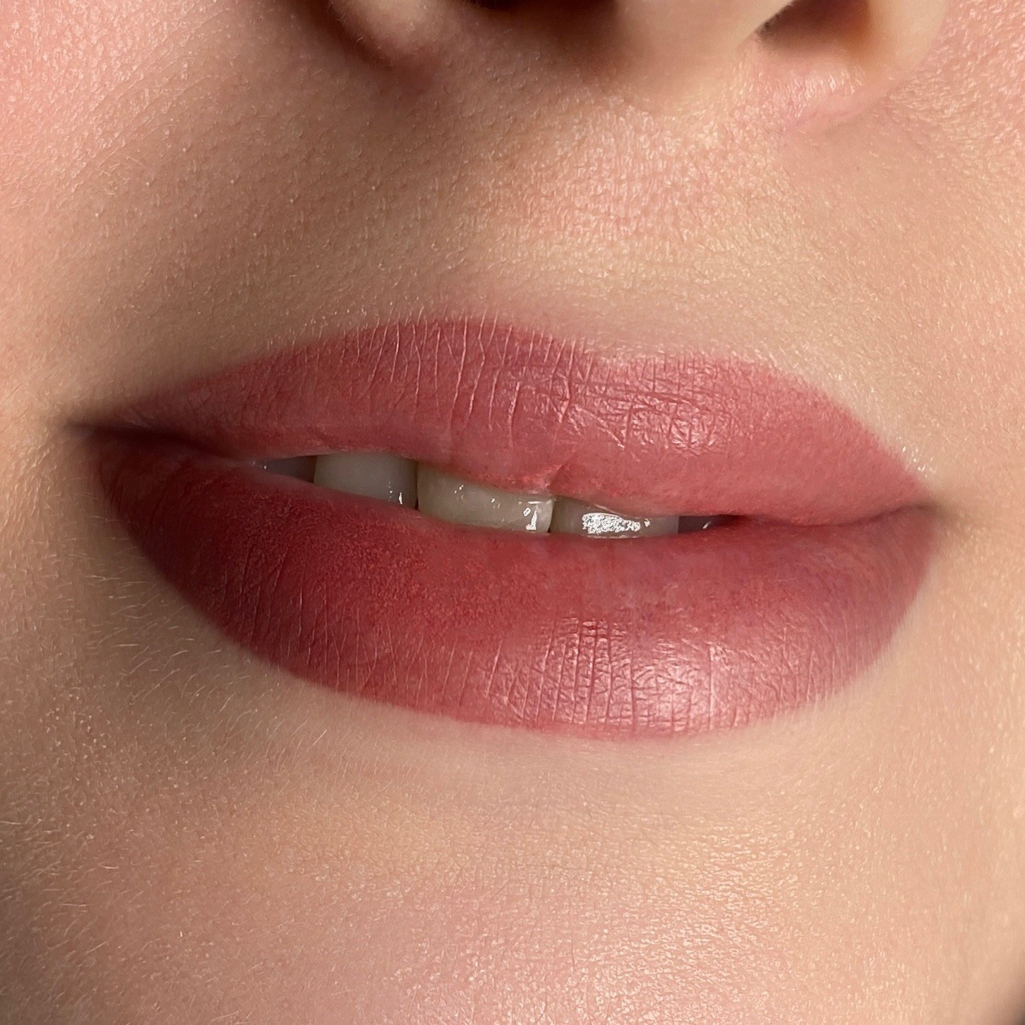 Истории. Перманент PigmentLab Olga