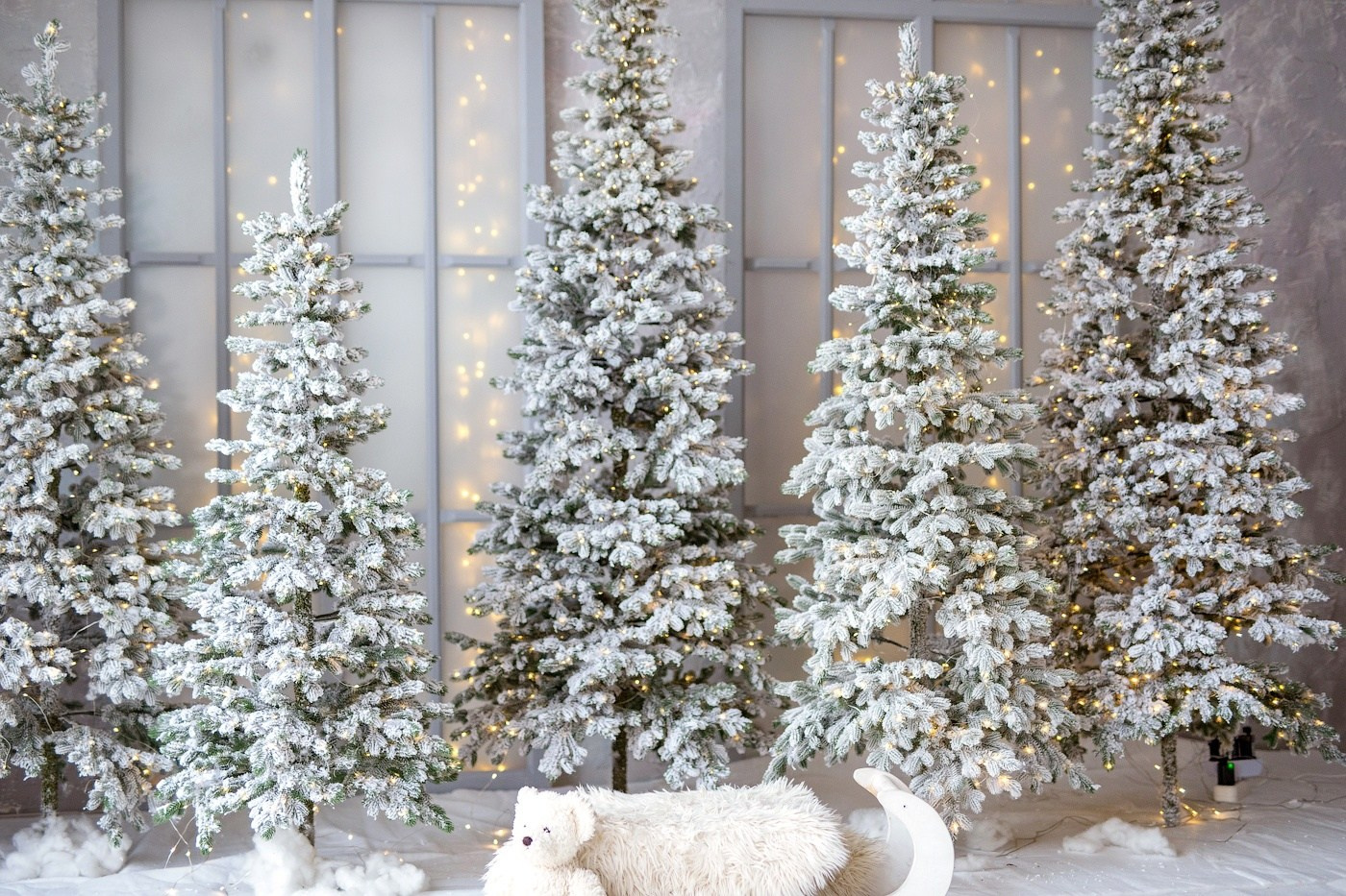 Фотостудии Барнаул. Свадебный репортажный и фуд фотограф в Барнауле Гайфулин Виталий