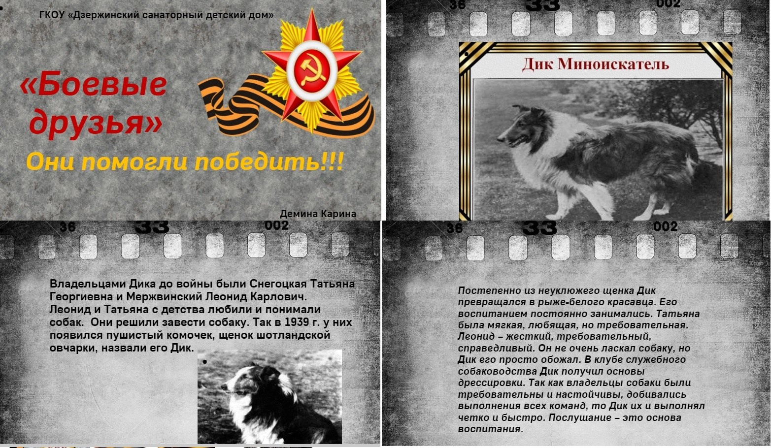 Мероприятия для юных кинологов — «Помним их имена», «Портрет фронтовой собаки». НРОО КЦ "Собаковод"