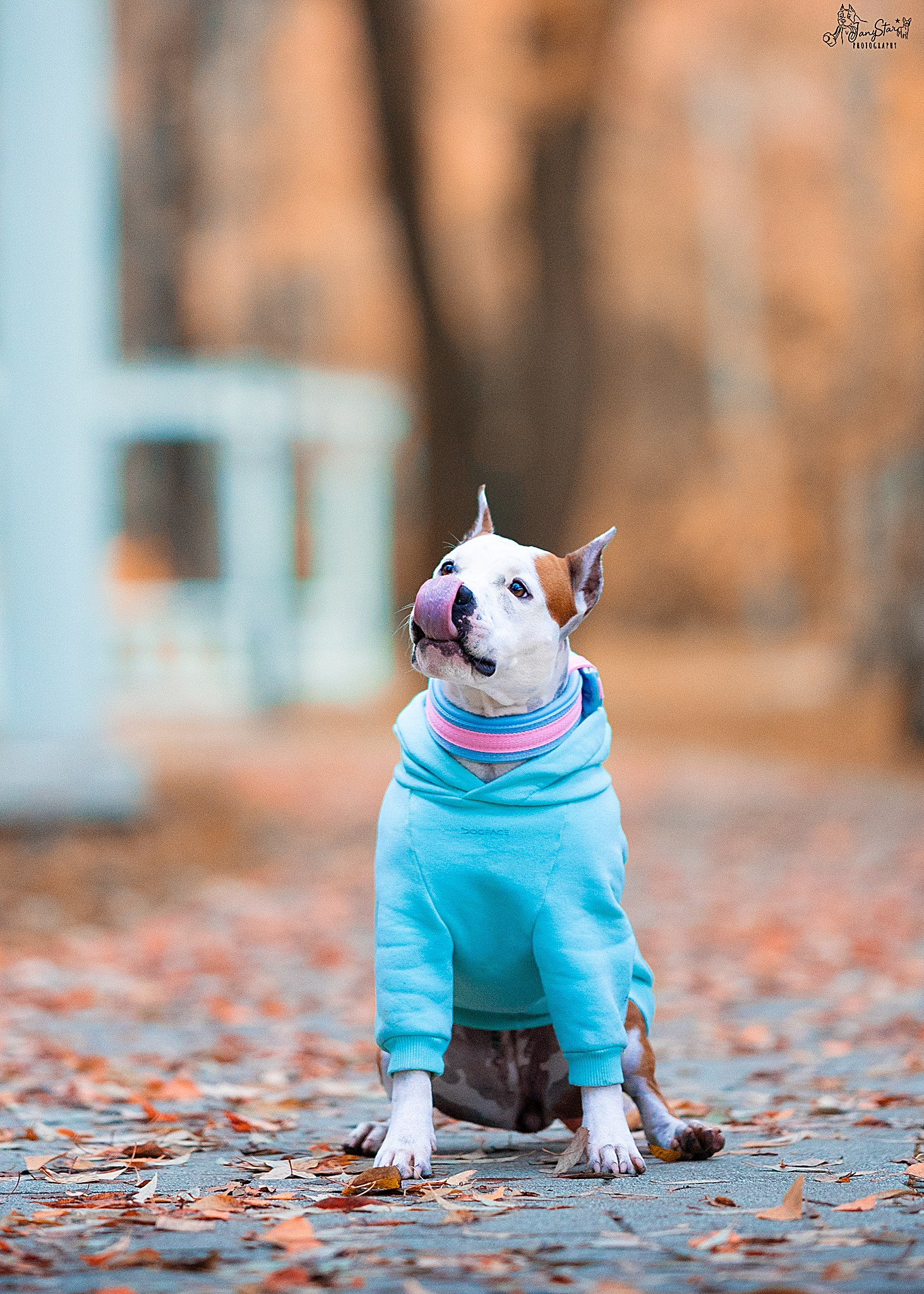 Фотограф-анималист в Москве Евгения Старостина