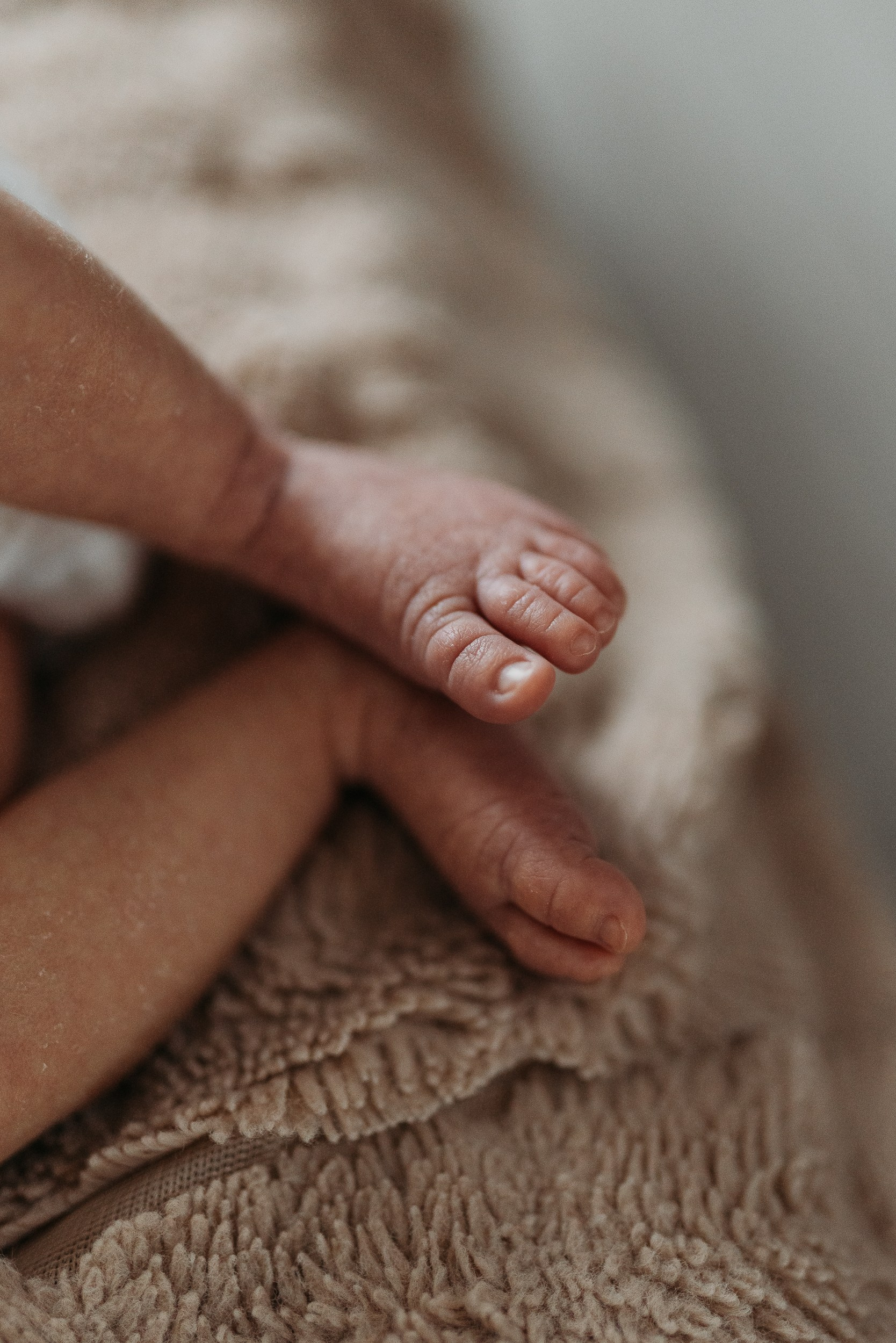 Семейный фотограф в Краснодаре