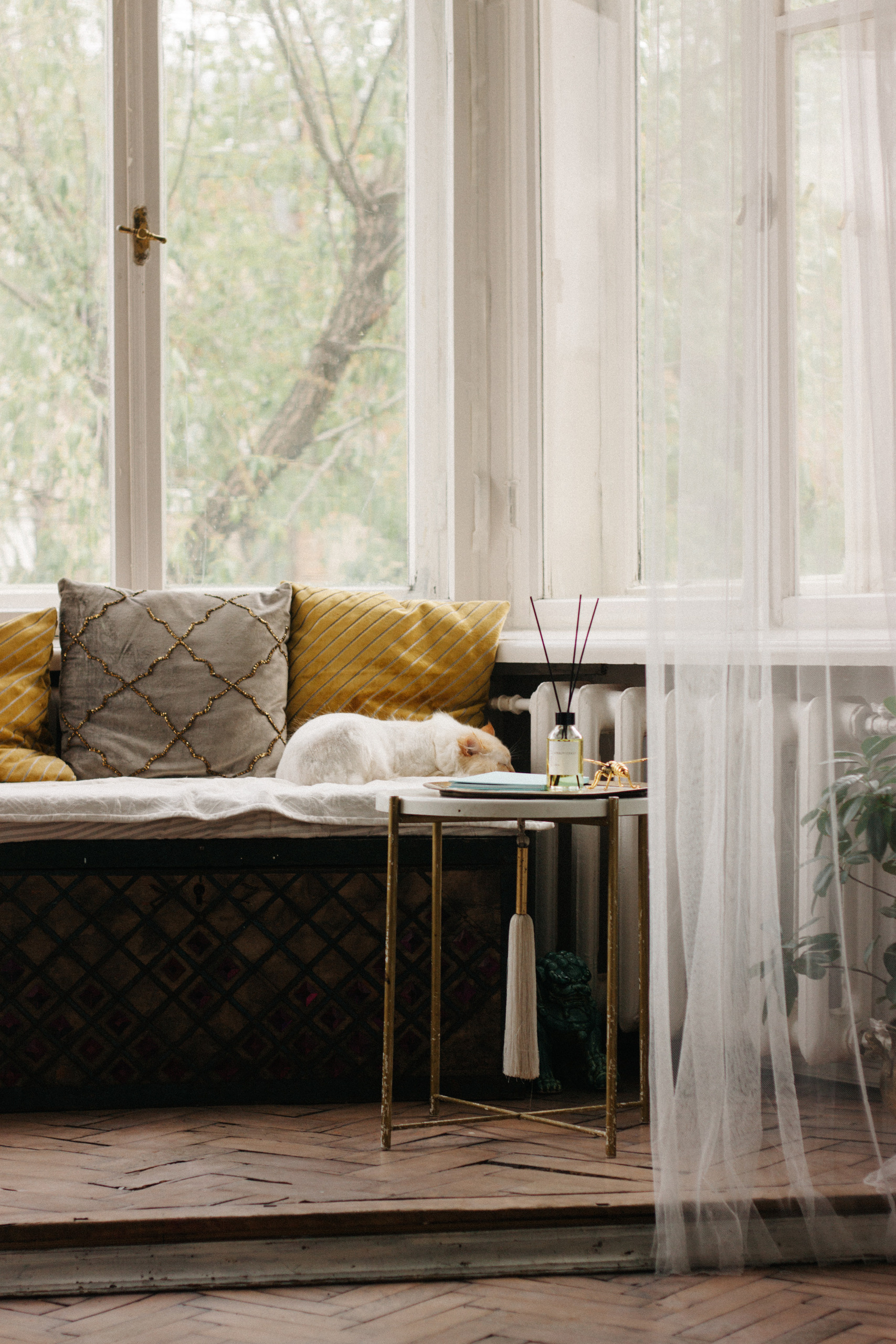 FEEDBACK. Семейный фотограф в Екатеринбурге Валерия Федотова