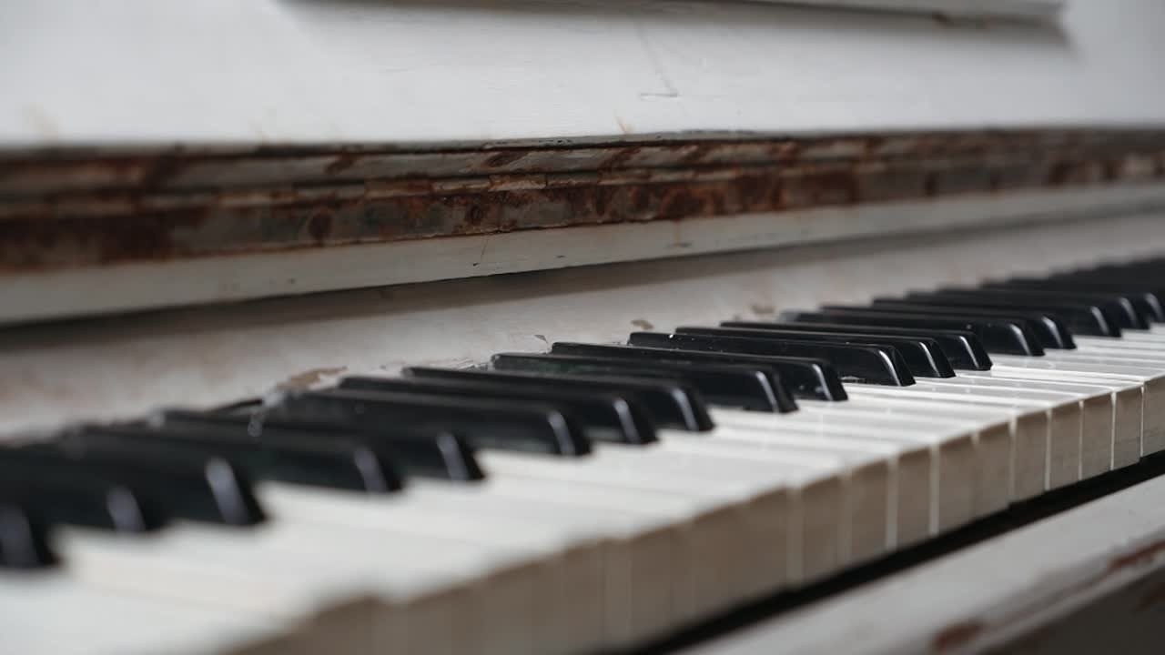 Свадебная съемка. Свадебный и репортажный фотограф видеограф Брянск/Москва