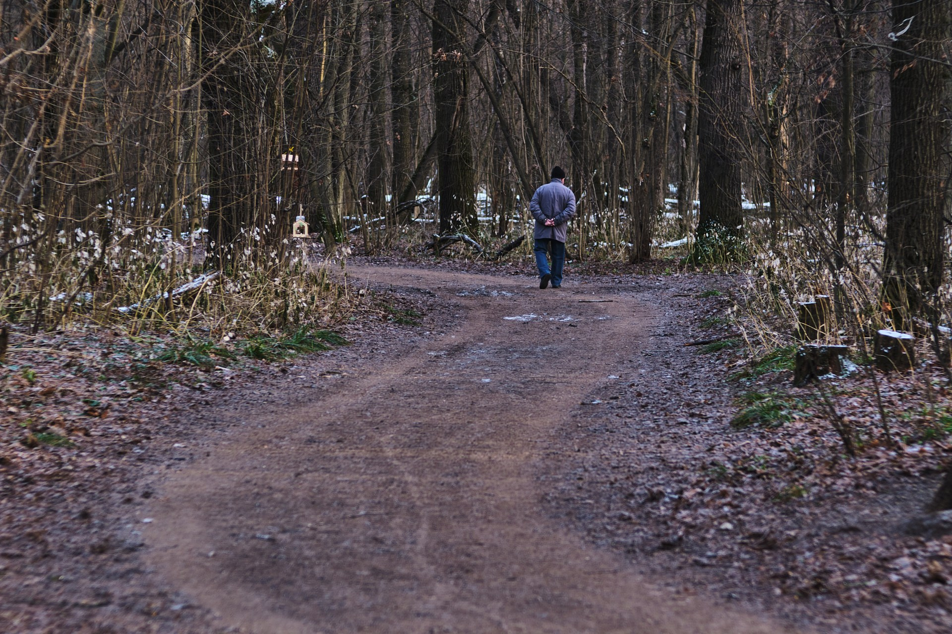 ЖИЗНЬ и СМЕРТЬ