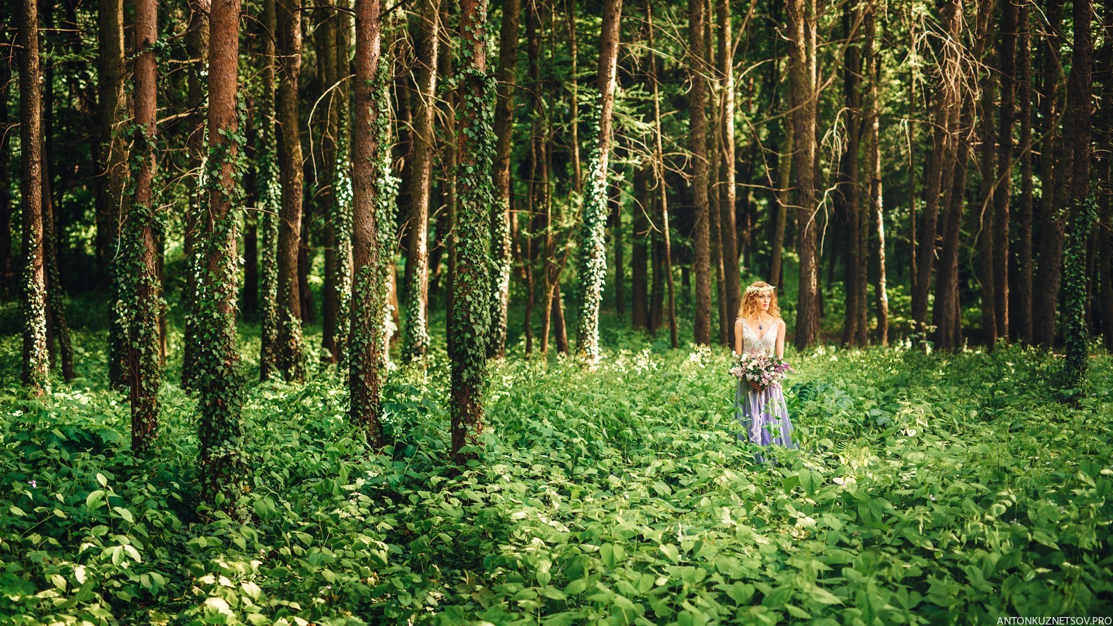 Акция на фотосъемку весеннего портрета в мае в Минске в цветущей сирен. Профессиональный свадебный фотограф в Минске Антон Кузнецов