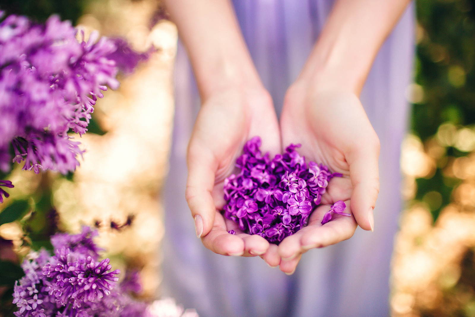 Акция на фотосъемку весеннего портрета в мае в Минске в цветущей сирен. Профессиональный свадебный фотограф в Минске Антон Кузнецов