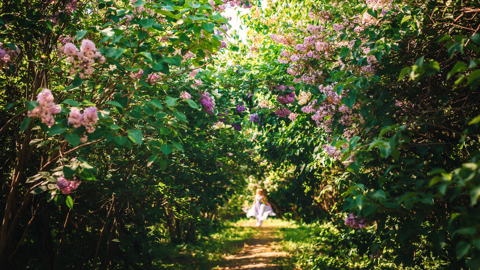 Акция на фотосъемку весеннего портрета в мае в Минске в цветущей сирен. Профессиональный свадебный фотограф в Минске Антон Кузнецов