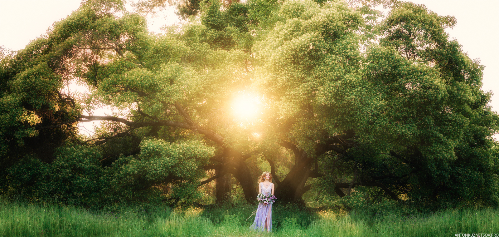 Акция на фотосъемку весеннего портрета в мае в Минске в цветущей сирен. Профессиональный свадебный фотограф в Минске Антон Кузнецов