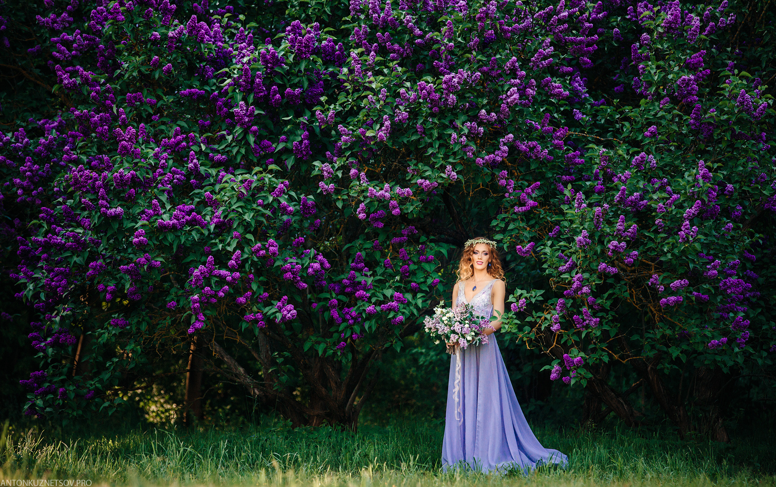 Акция на фотосъемку весеннего портрета в мае в Минске в цветущей сирен. Профессиональный свадебный фотограф в Минске Антон Кузнецов