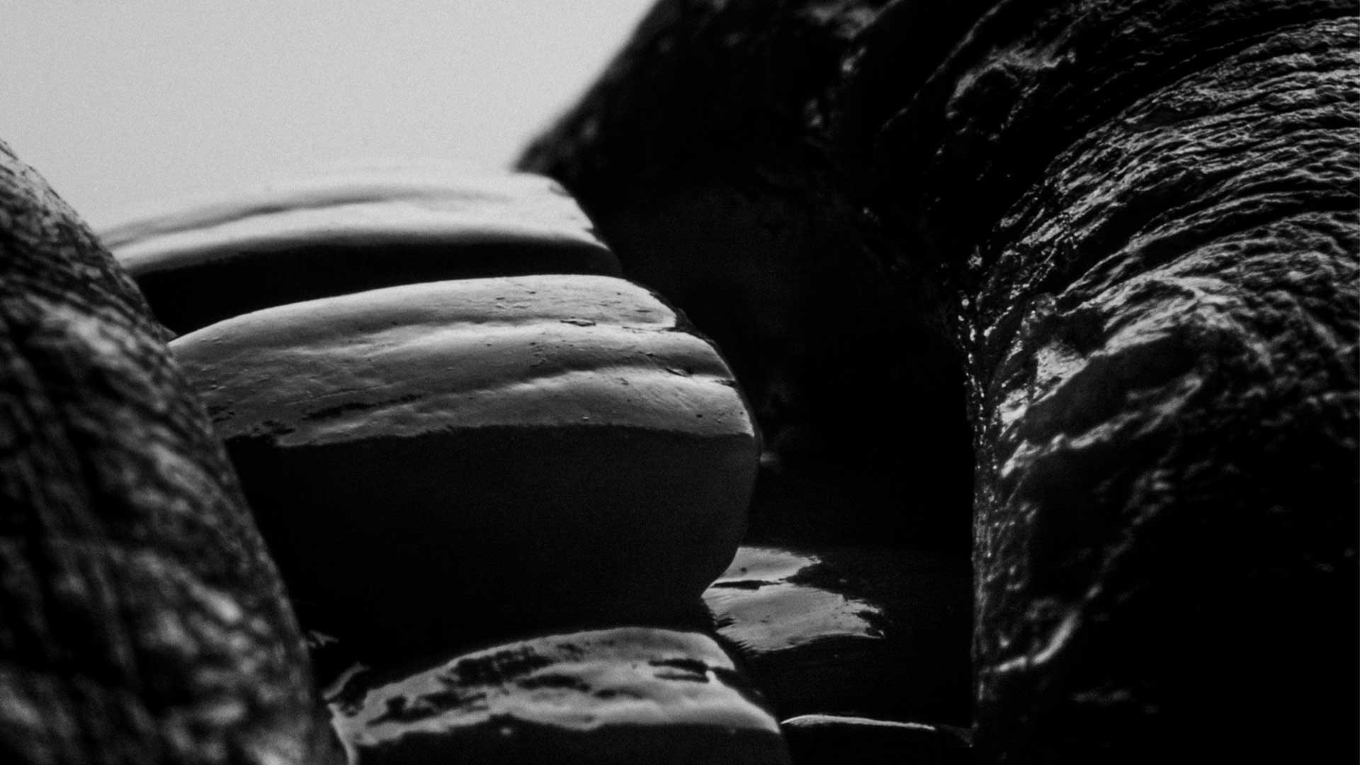 Онлайн-курс Dental Photo PRO: теория, практика, применение