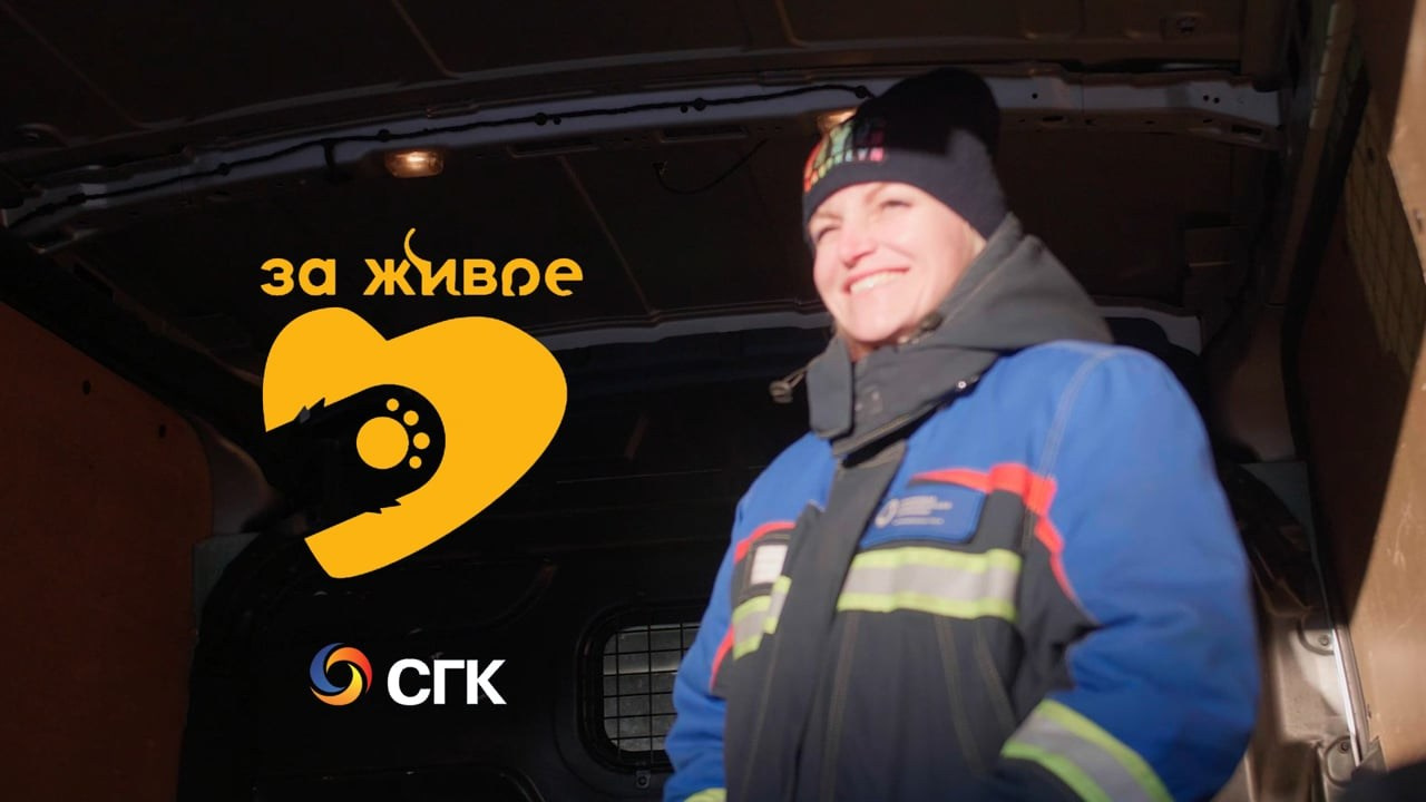 ДОКФИЛЬМЫ. YouTube для ВРАЧЕЙ | видео для БИЗНЕСА | MINDSETUP