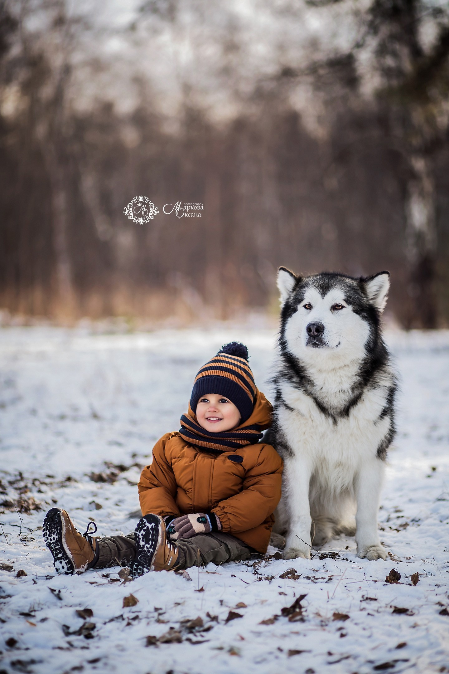 Детская фотосессия с хаски