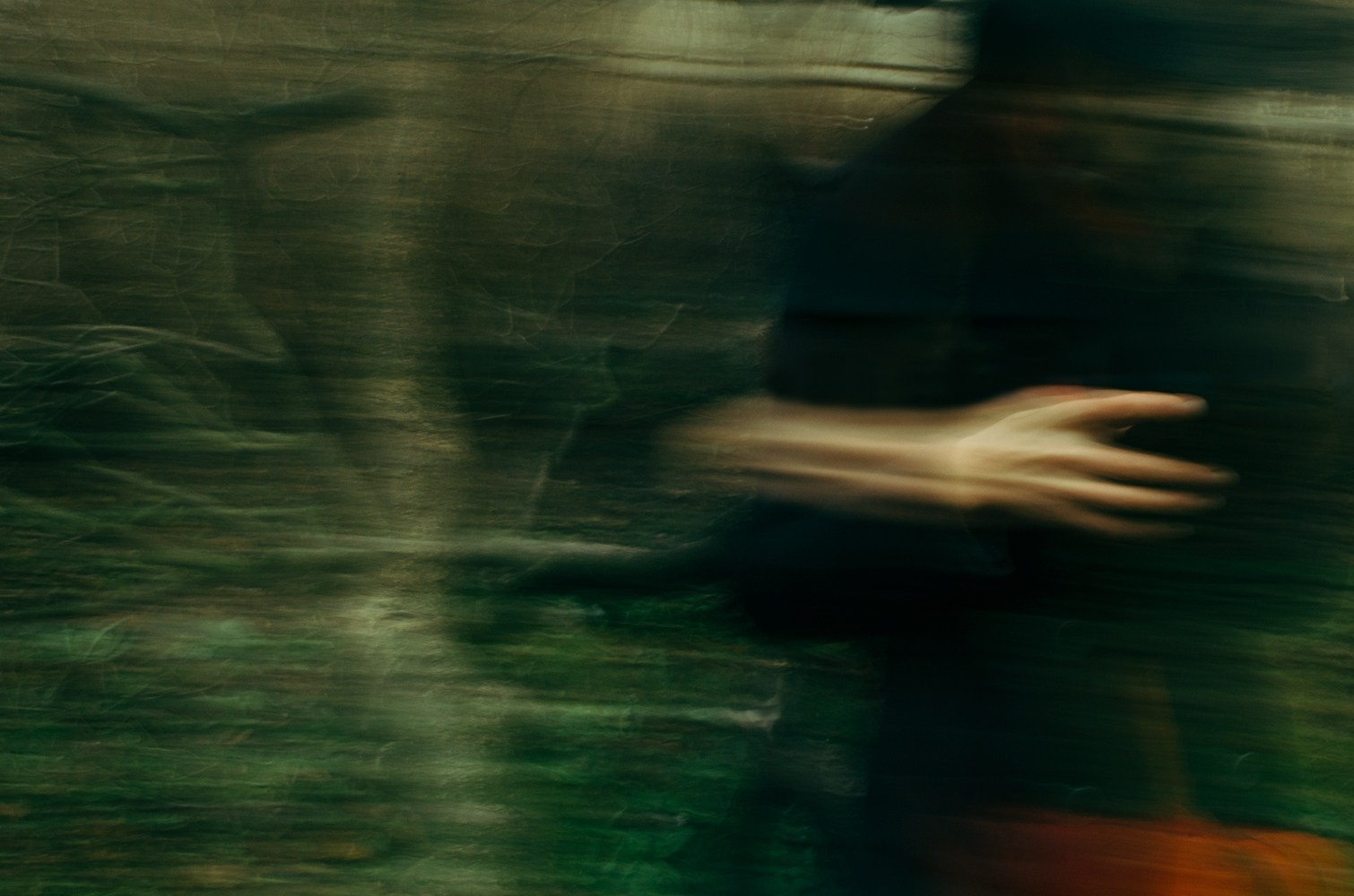 Анна Скопина