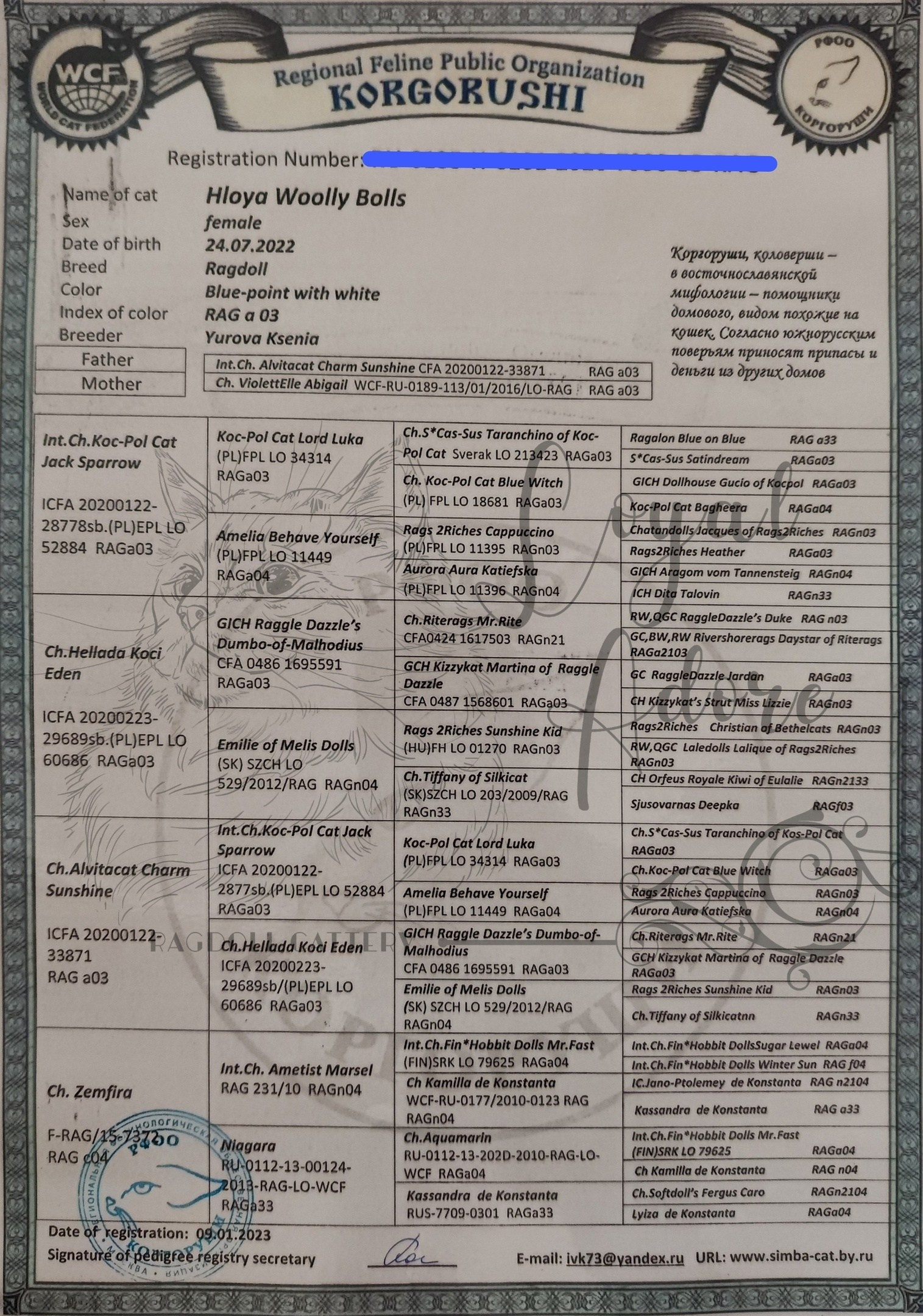Документы производителей Loyal Adore. Питомник рэгдолл Loyal Adore