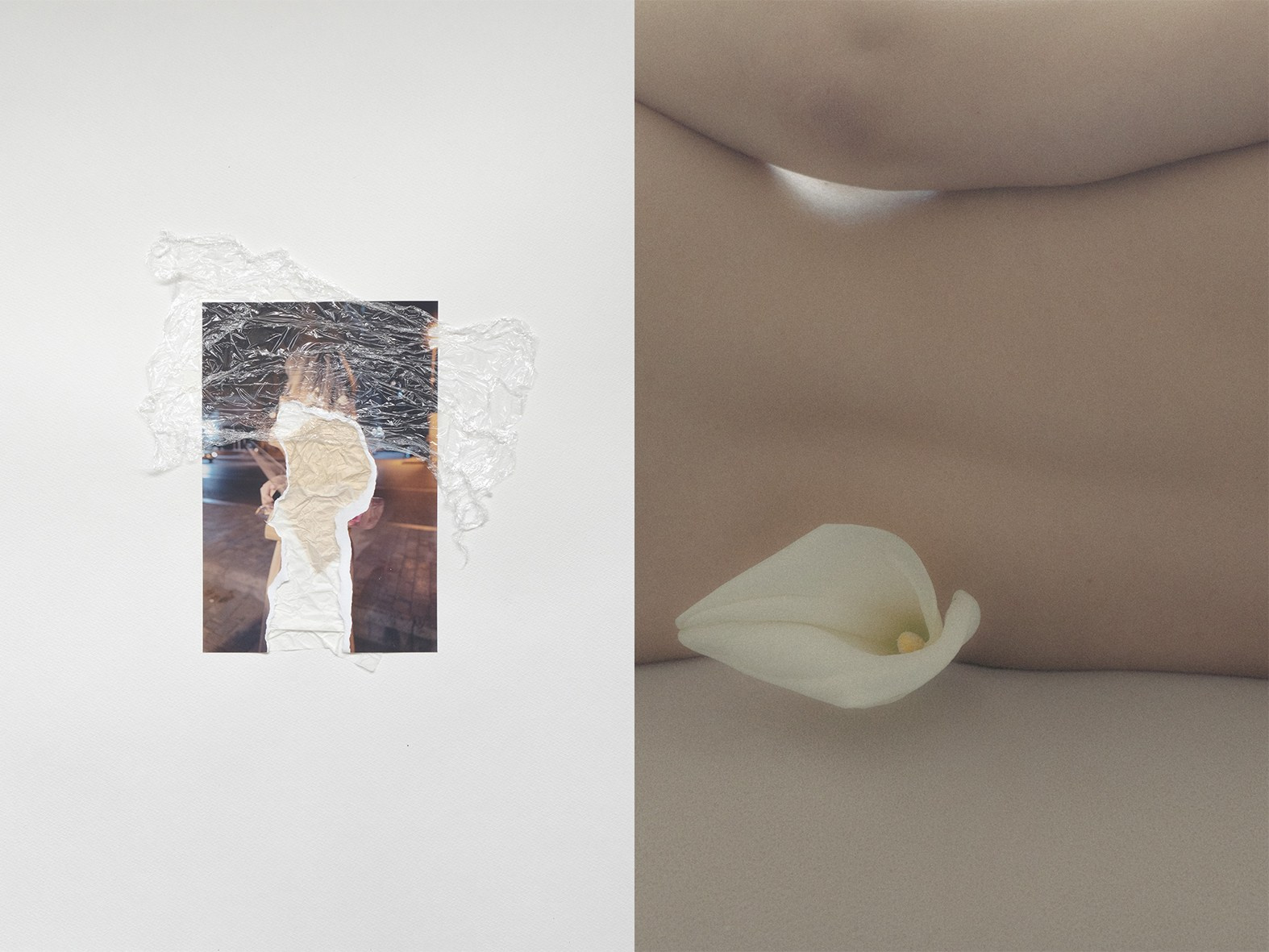 Eliza Ari | visual artist