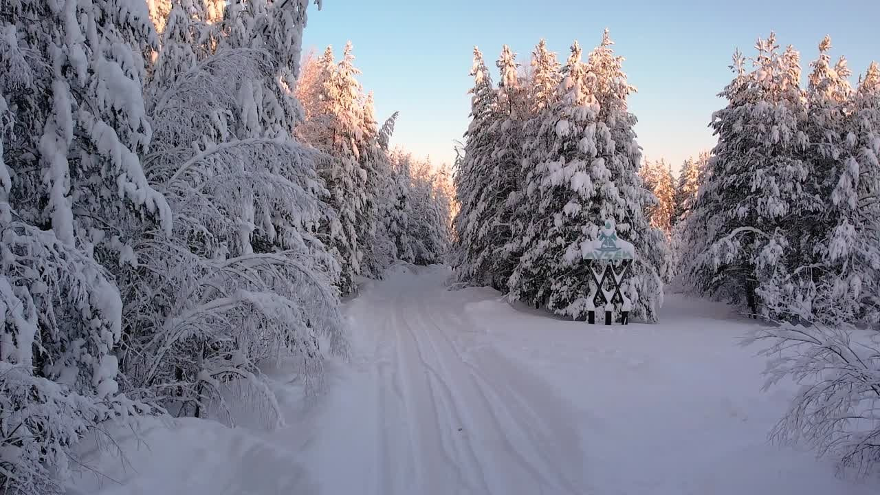 Видео. Фотограф Татьяна Борисова